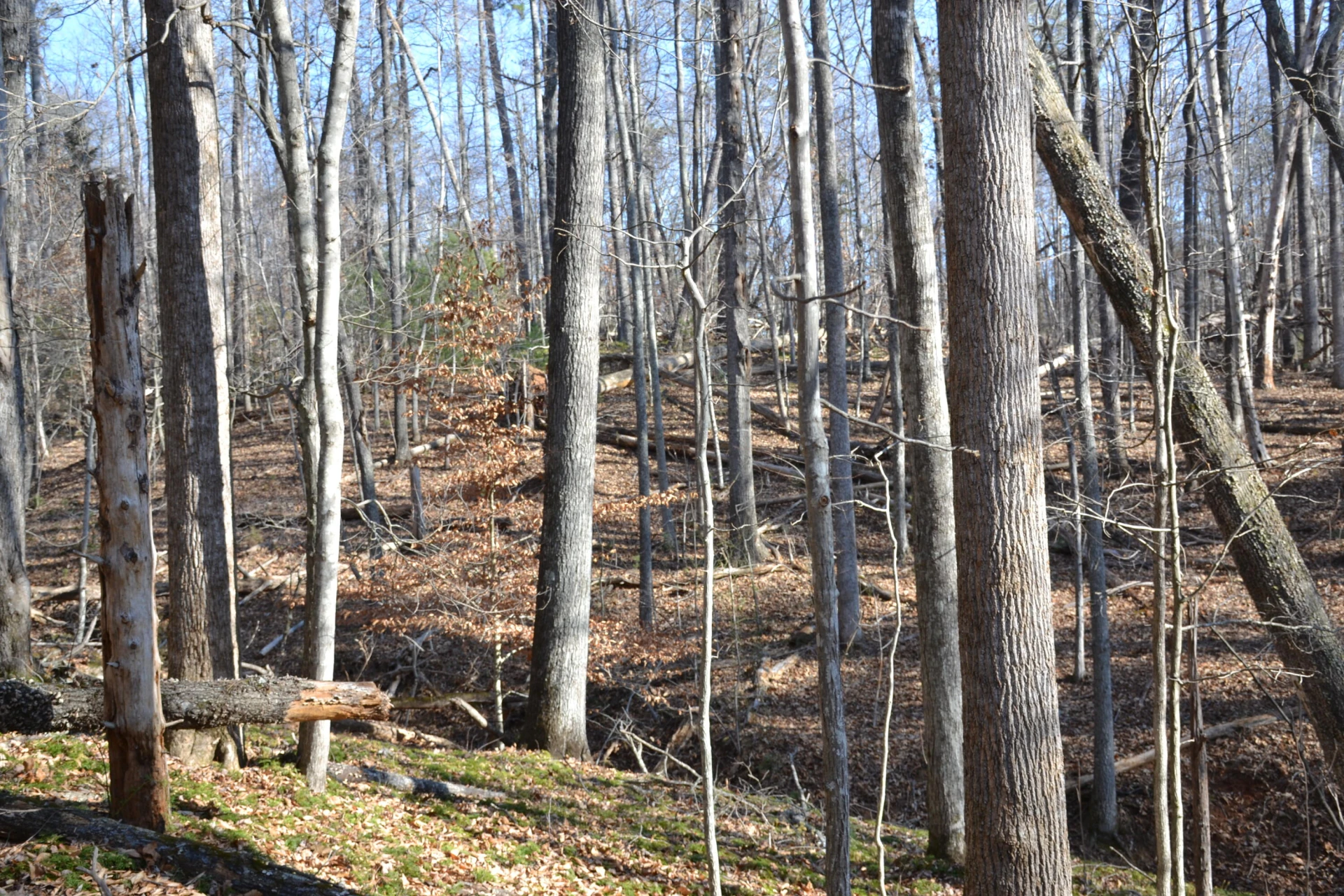 8790 Virgil H Goode Hwy - Photo 64