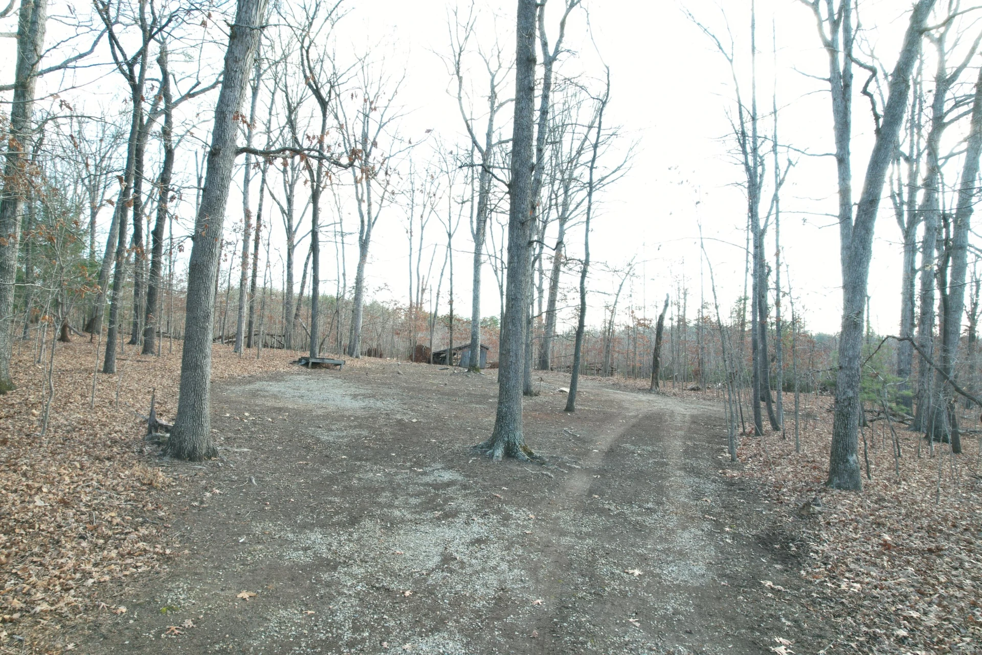 8790 Virgil H Goode Hwy - Photo 7