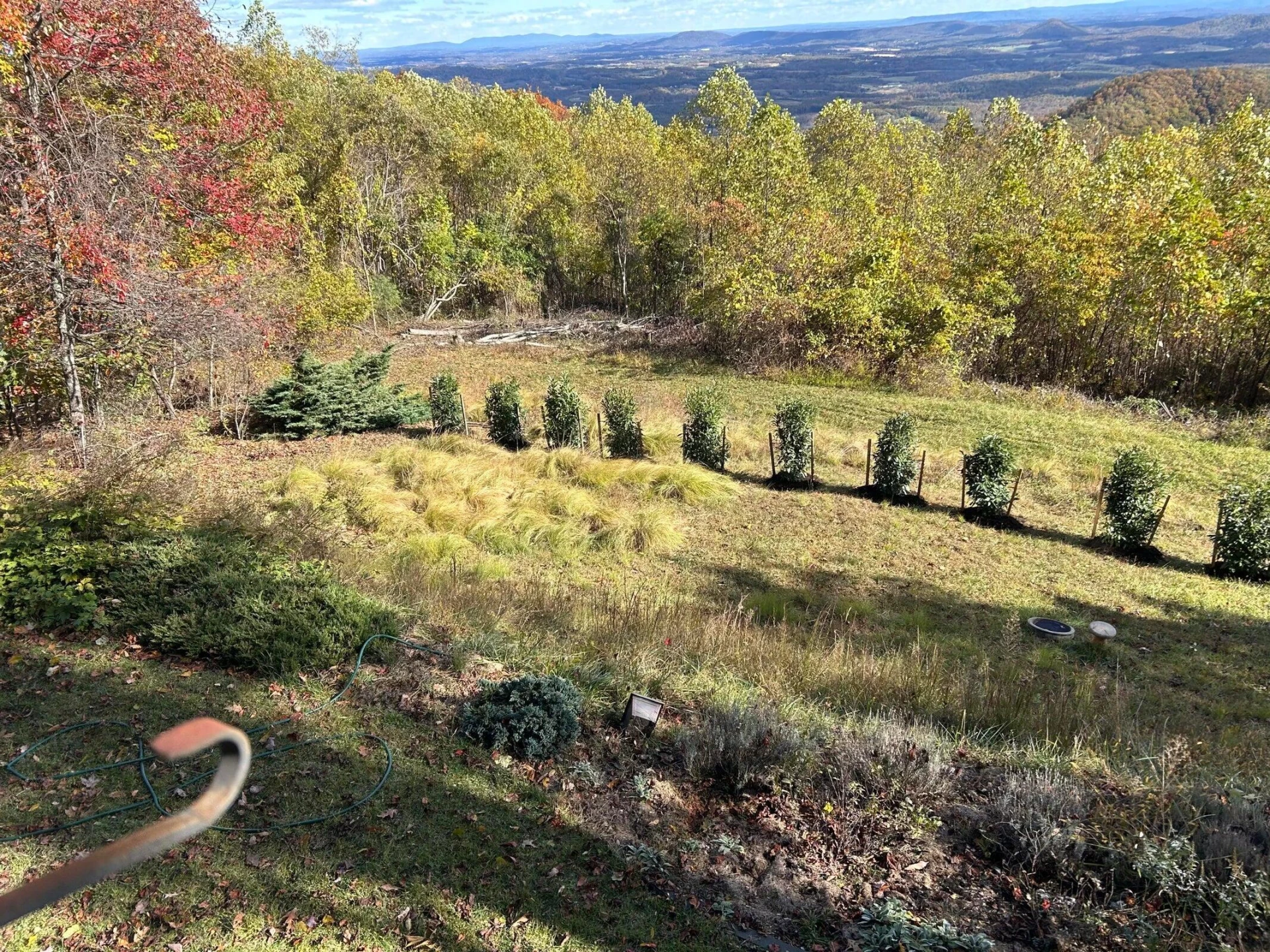 490 Lookout Ridge LN - Photo 55