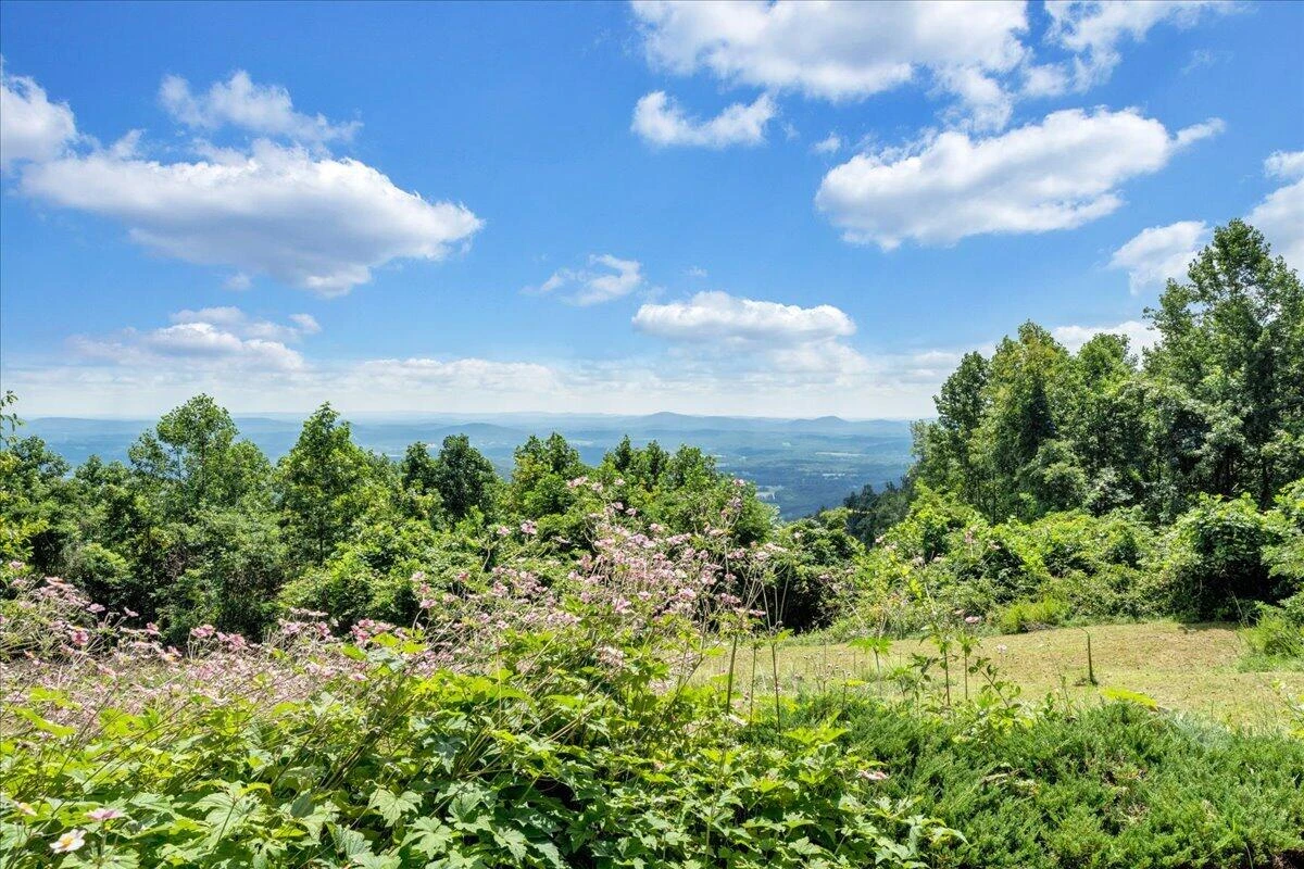 490 Lookout Ridge LN - Photo 59