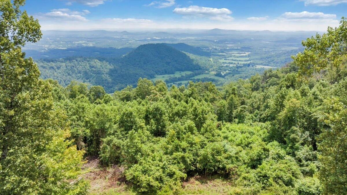 490 Lookout Ridge LN - Photo 65
