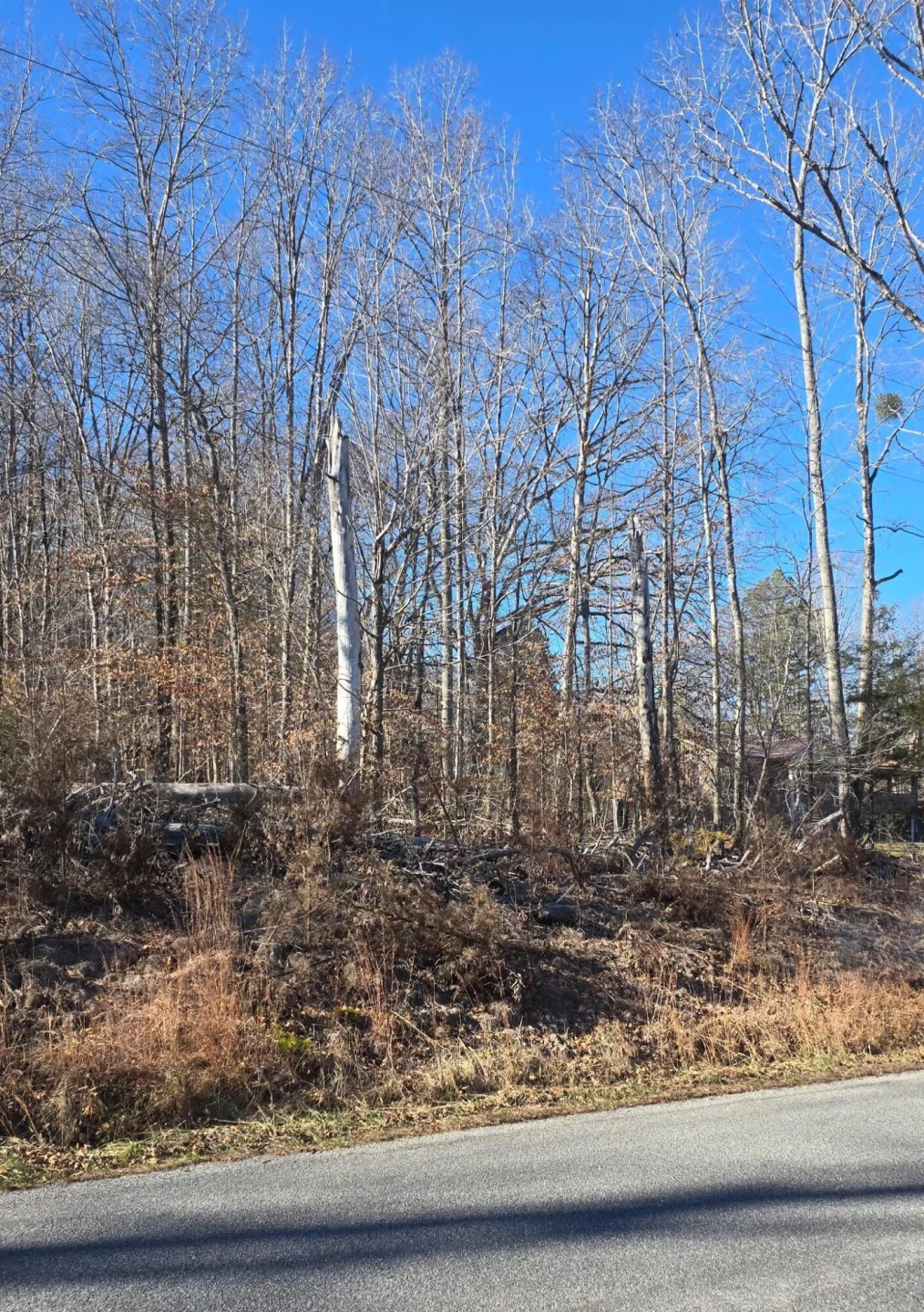 0 Jordan Creek RD - Photo 3