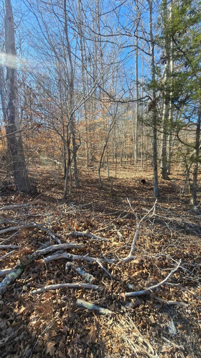 0 Jordan Creek RD - Photo 4