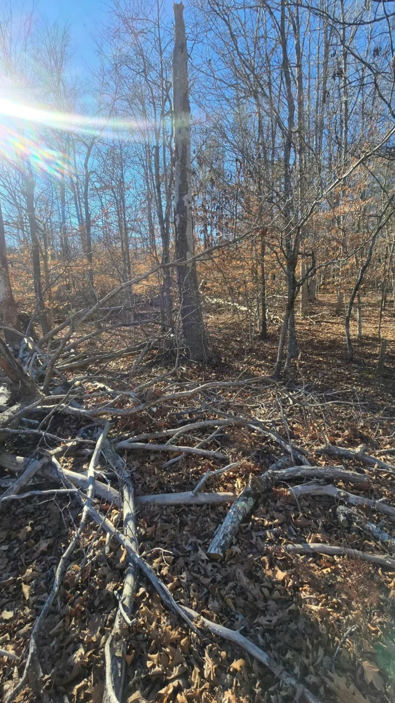 0 Jordan Creek RD - Photo 6
