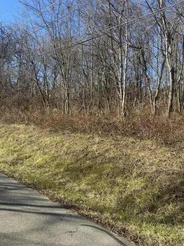 0 Vinyard AVE, Roanoke, VA, 24012