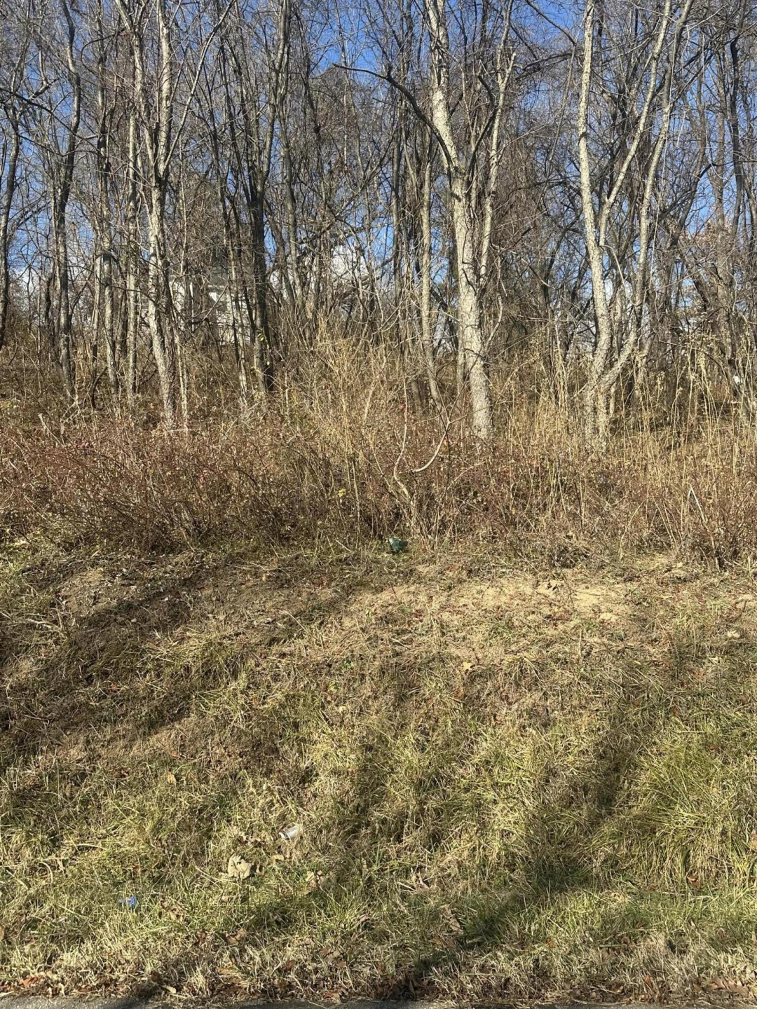 0 Vinyard AVE - Photo 2