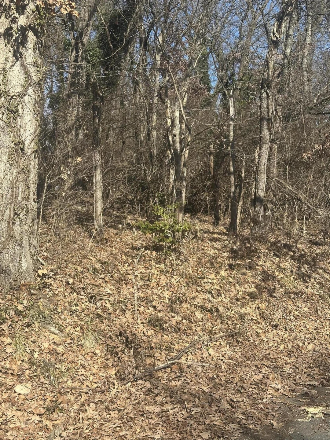 0 Vinyard AVE - Photo 6
