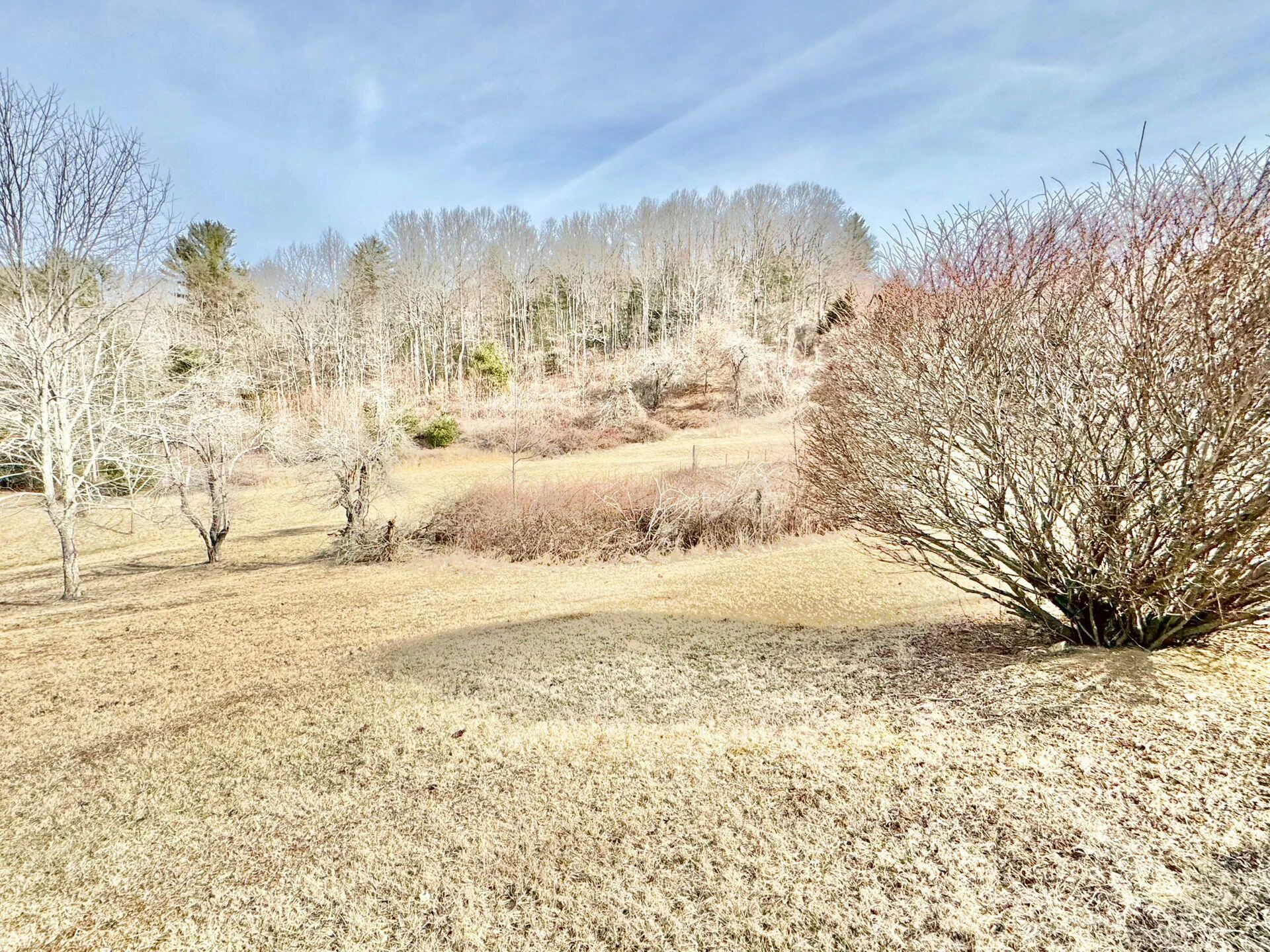 9245 Patterson DR - Photo 93