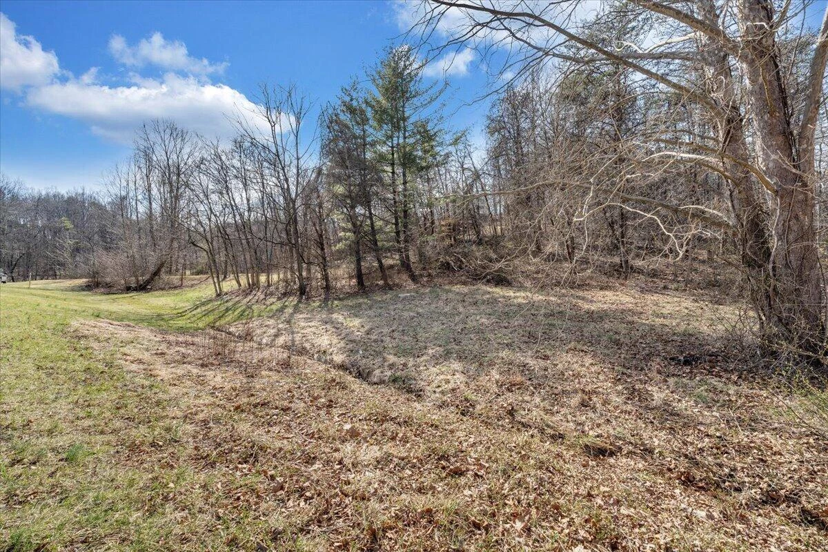 00 Woodridge RD - Photo 4