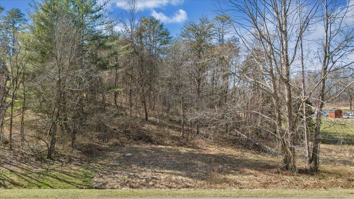 00 Woodridge RD - Photo 8