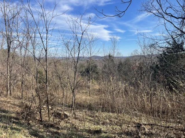 0 taylors Mountain RD, Thaxton, VA, 24174