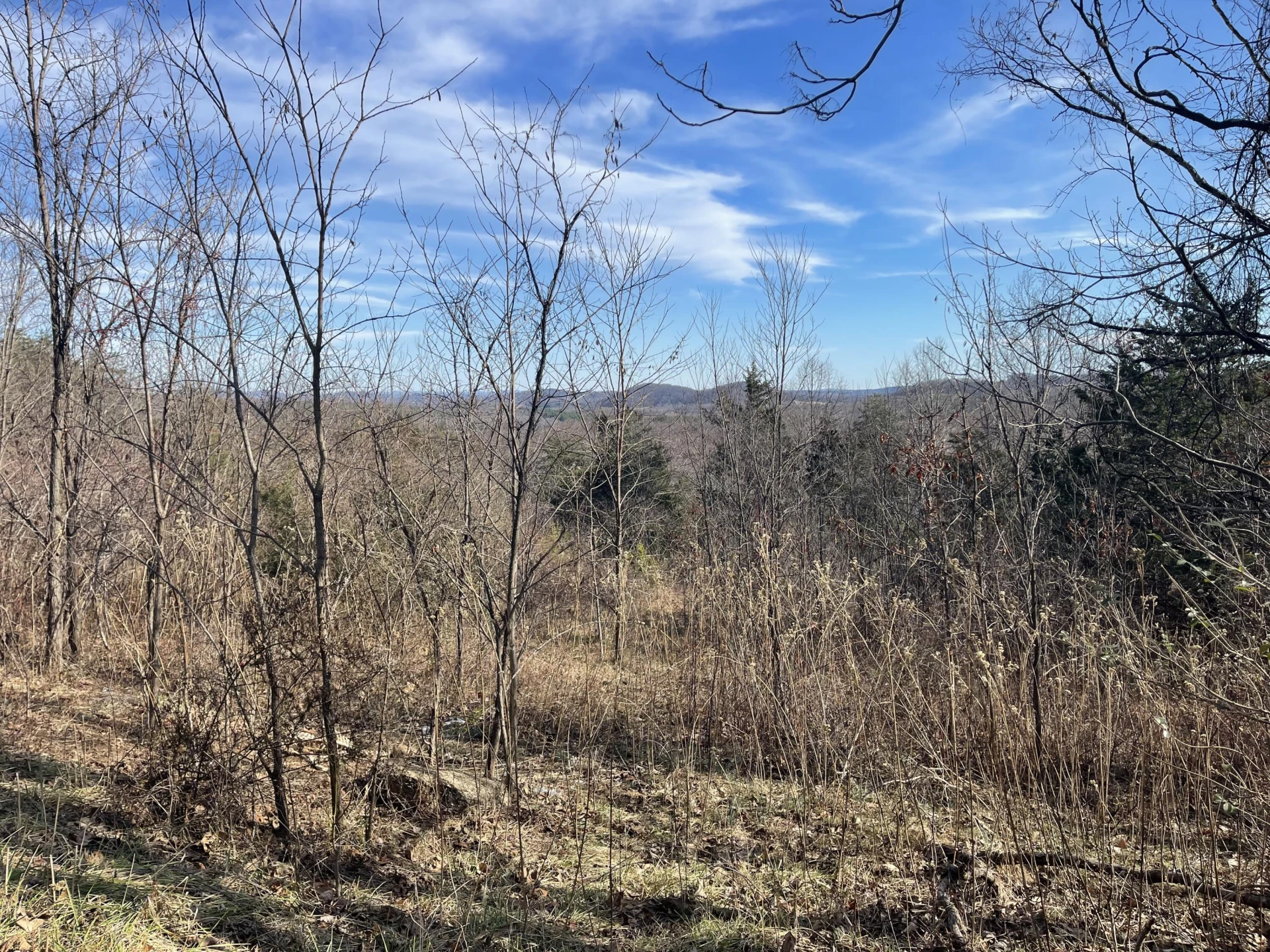 0 taylors Mountain RD