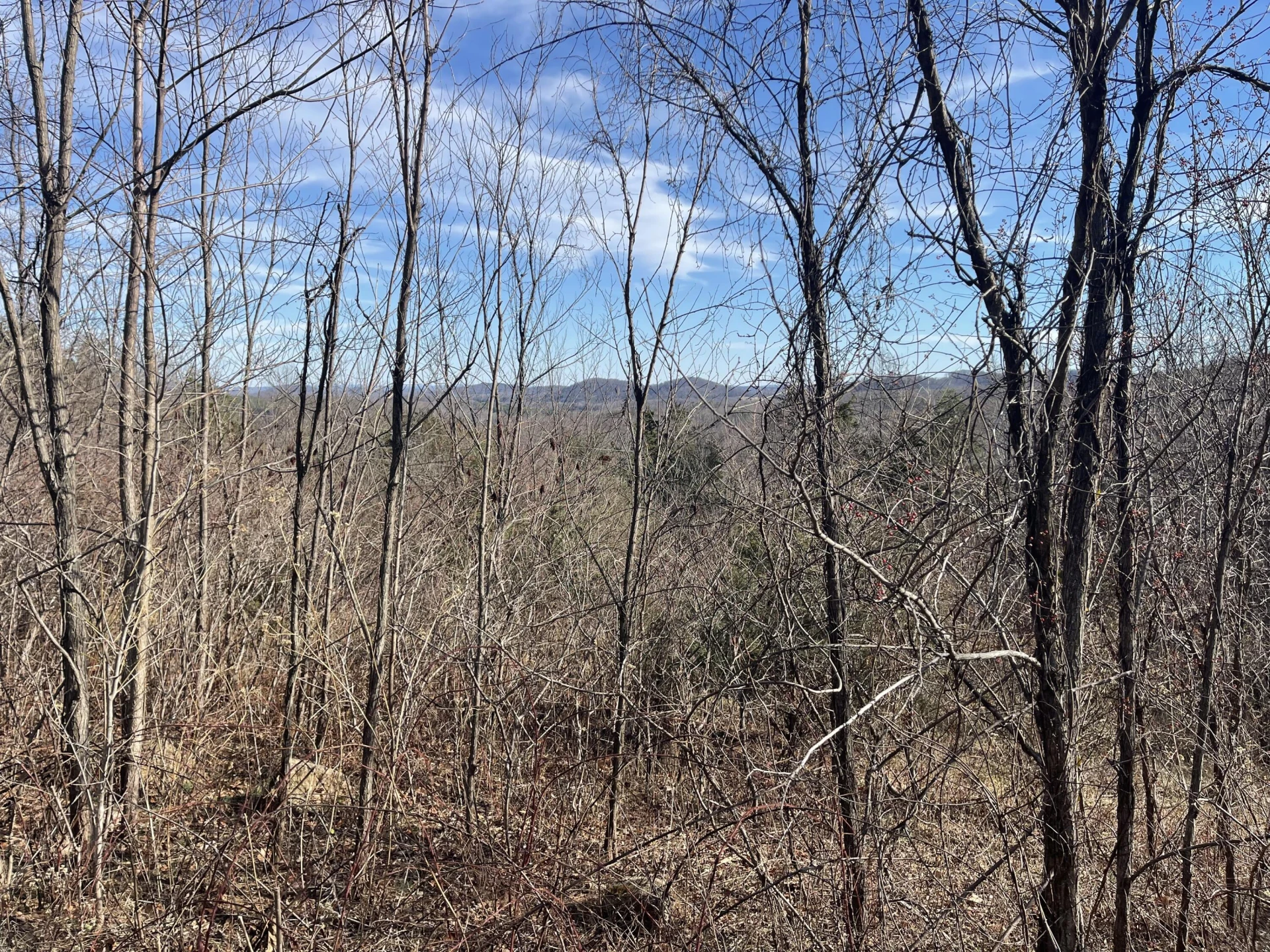 0 taylors Mountain RD - Photo 2