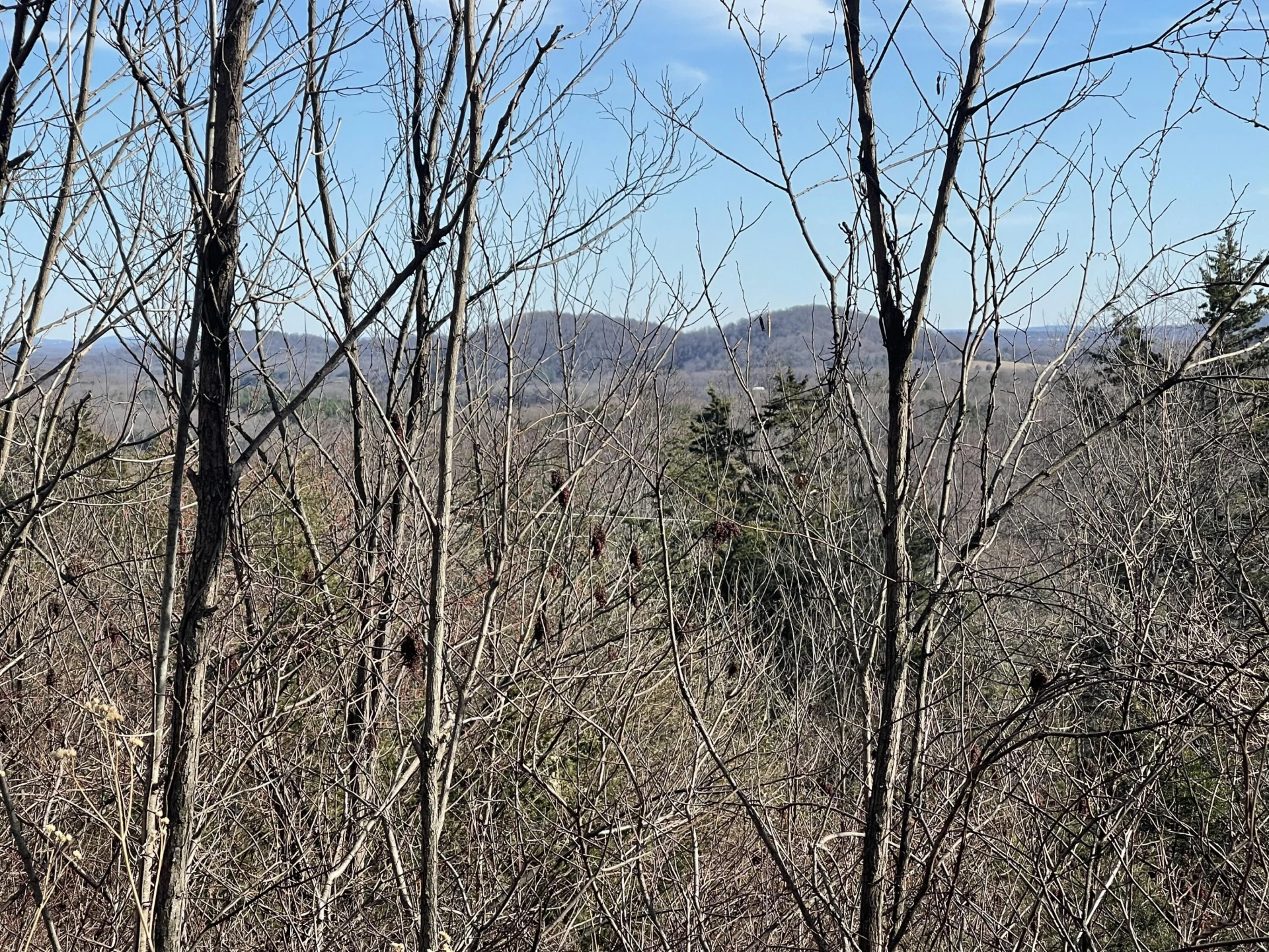 0 taylors Mountain RD - Photo 3
