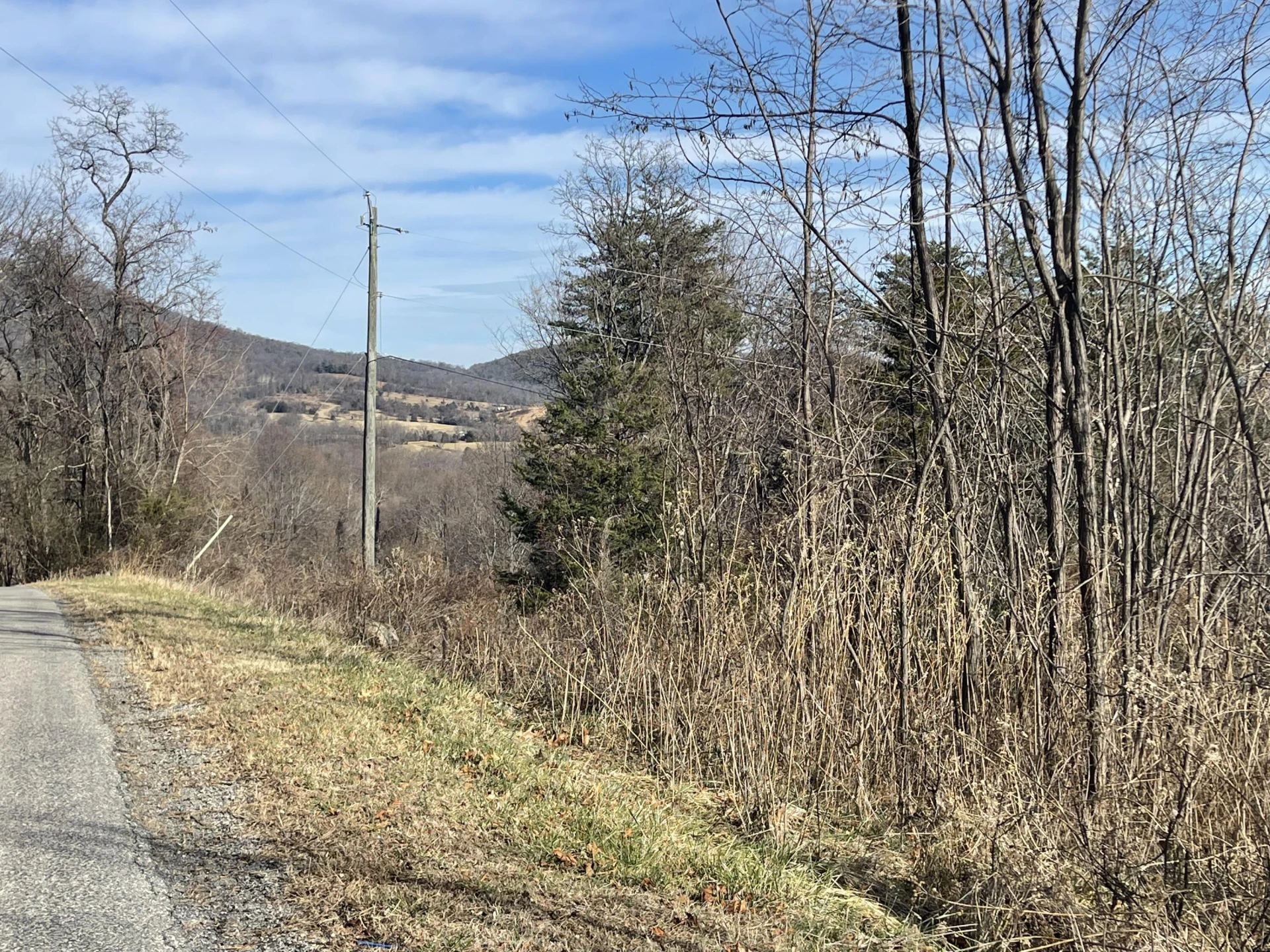 0 taylors Mountain RD - Photo 4