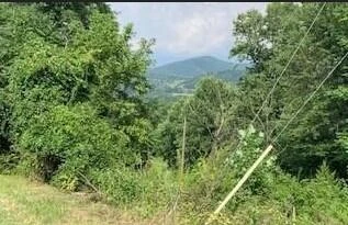 0 taylors Mountain RD - Photo 5