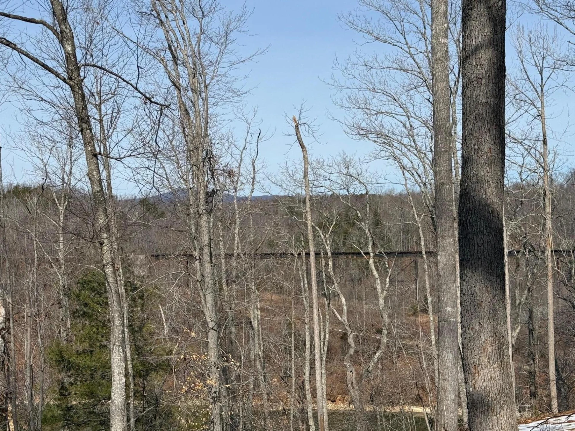 Lot 49 Pearl DR - Photo 2