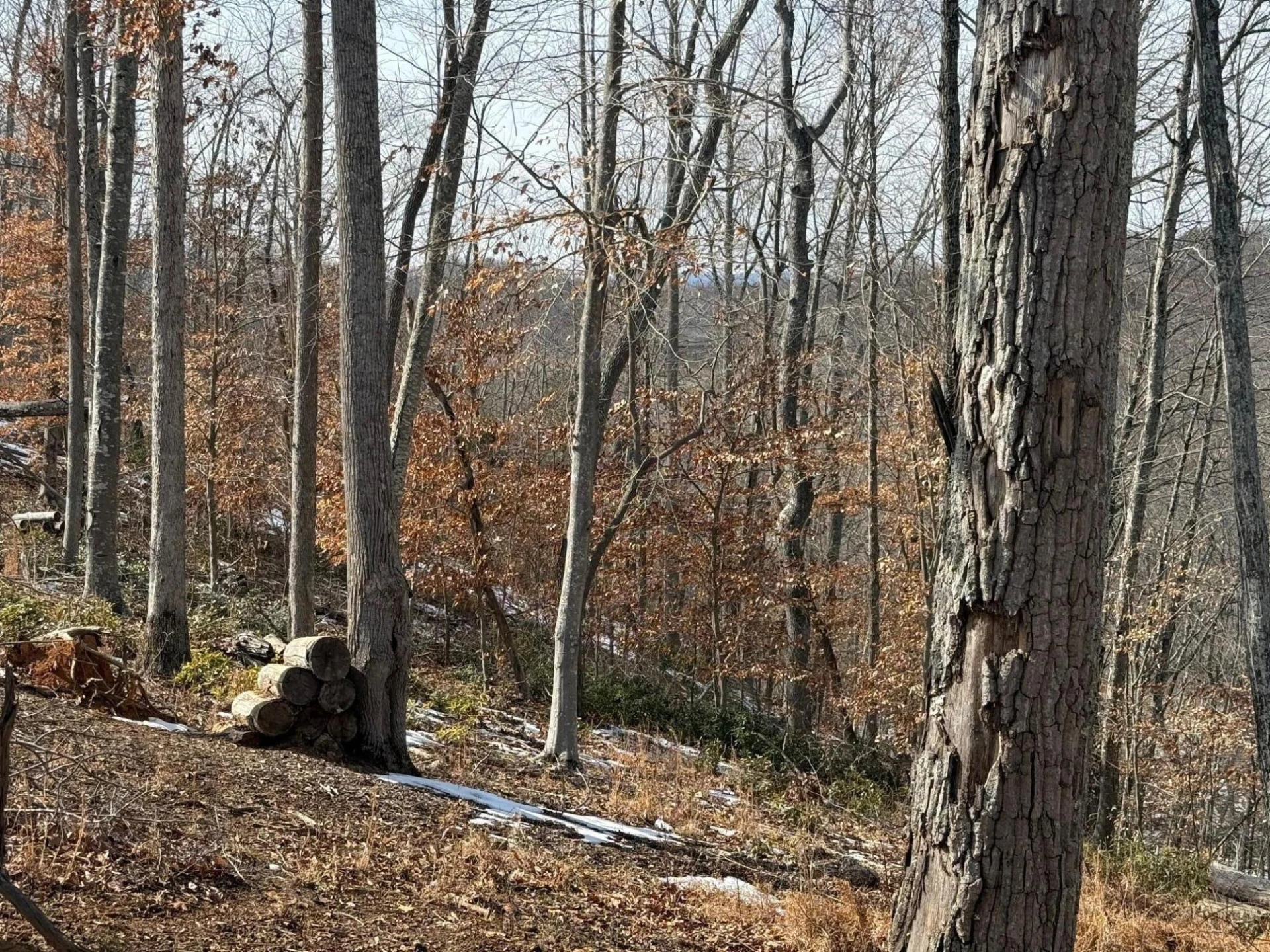 Lot 49 Pearl DR - Photo 3