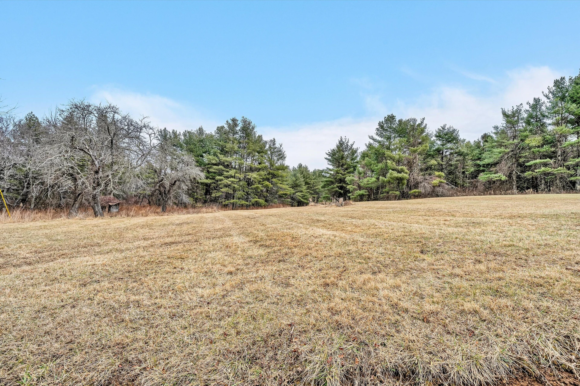 202 Panther DR - Photo 36
