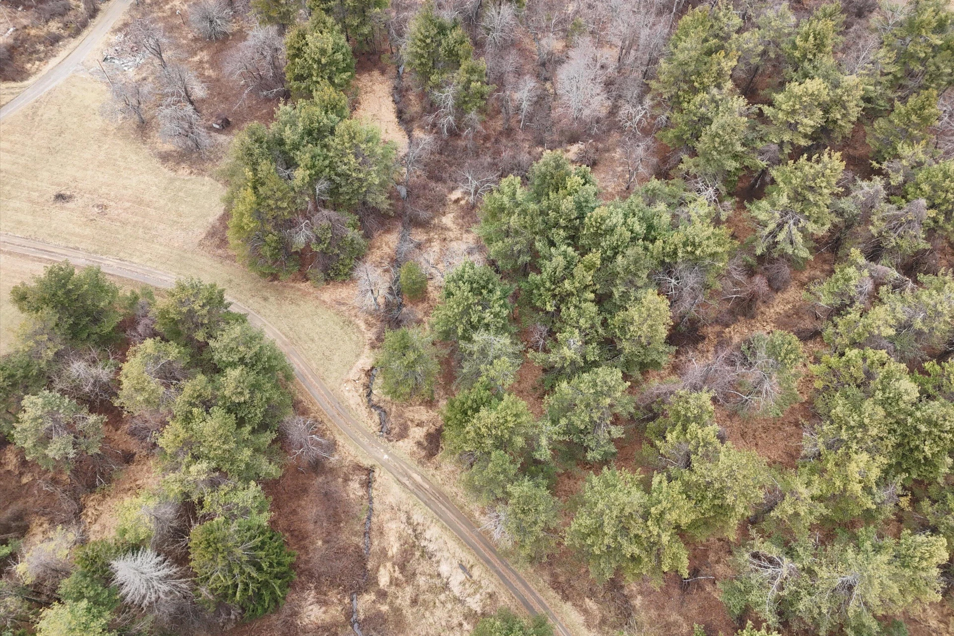 202 Panther DR - Photo 43