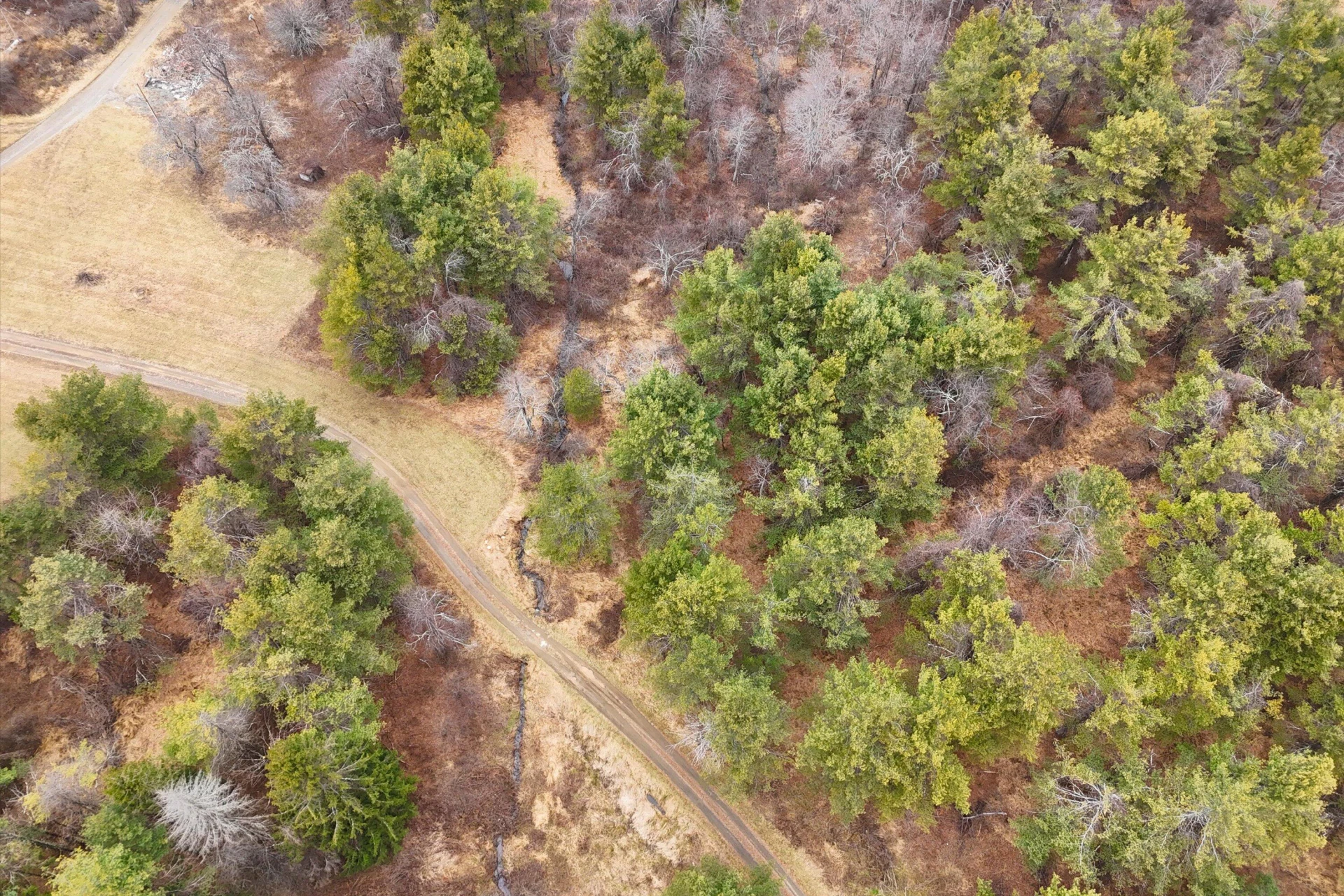 202 Panther DR - Photo 47