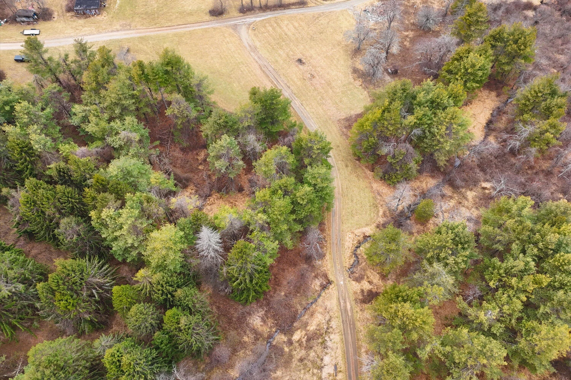 202 Panther DR - Photo 48