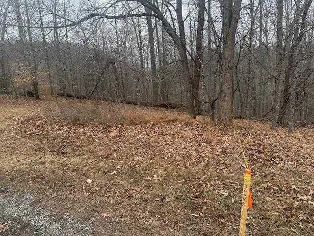 0 Ridge DR, Goodview, VA, 24095