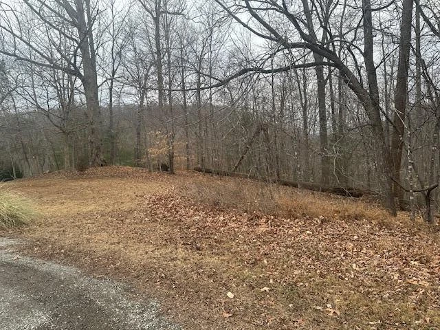0 Ridge DR - Photo 2
