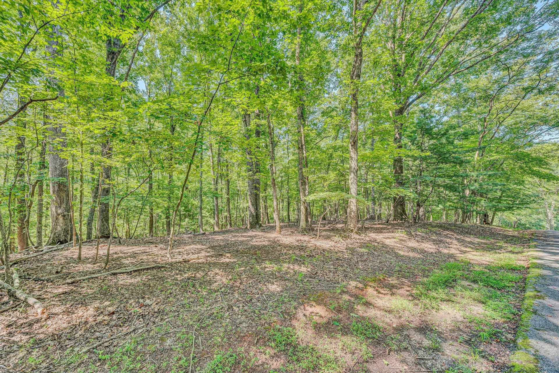 Lot 24 Woodridge TRL