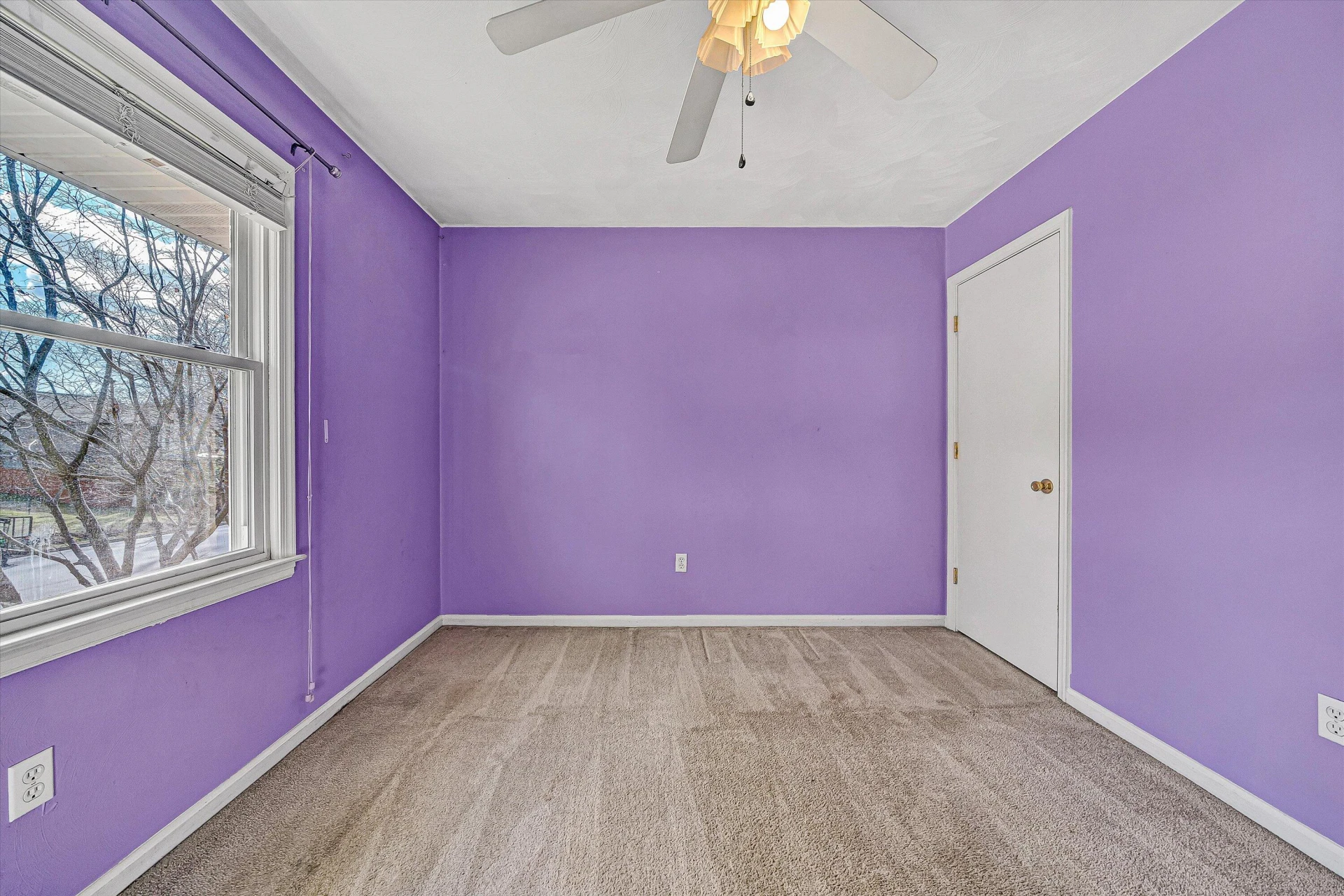 4634 Trevino CIR - Photo 12