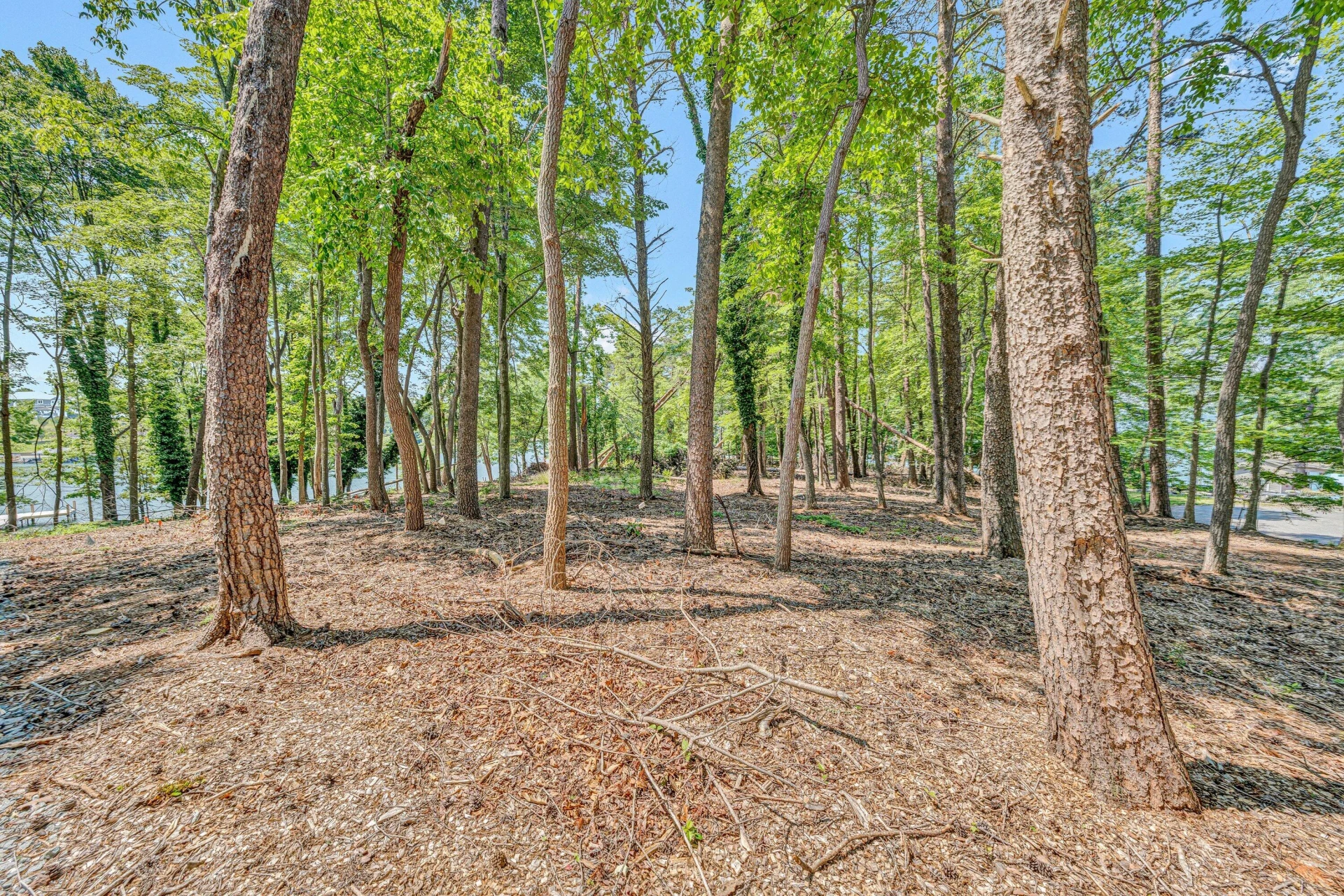 Lot 3 Sigh N Pine RD - Photo 13