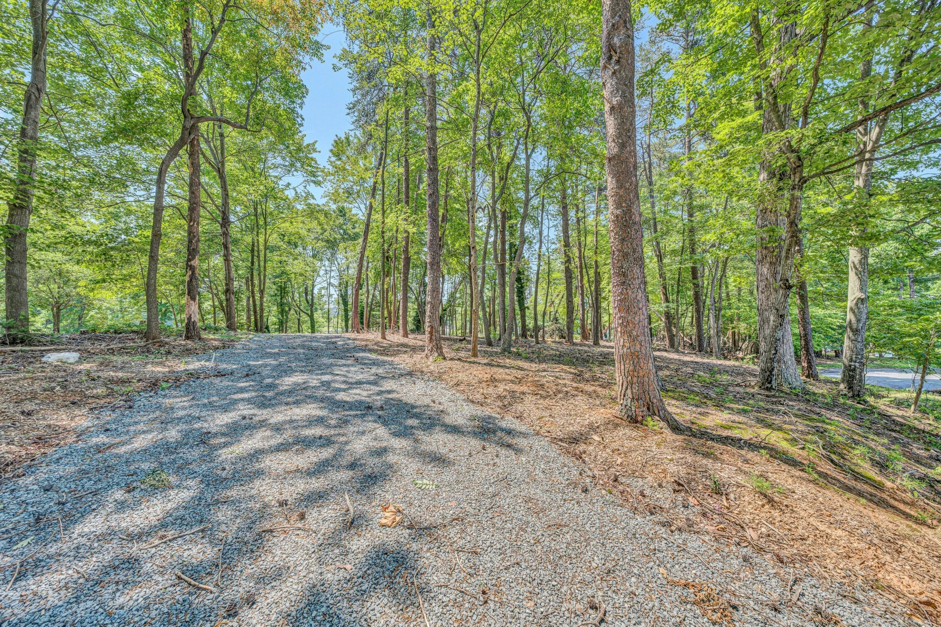 Lot 3 Sigh N Pine RD - Photo 15