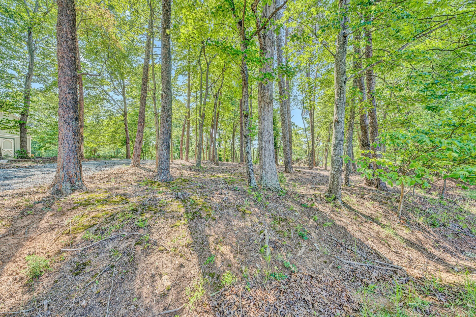 Lot 3 Sigh N Pine RD - Photo 5