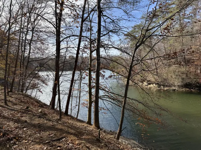 LOT 9 TIKI TERRACE, Goodview, VA, 24095