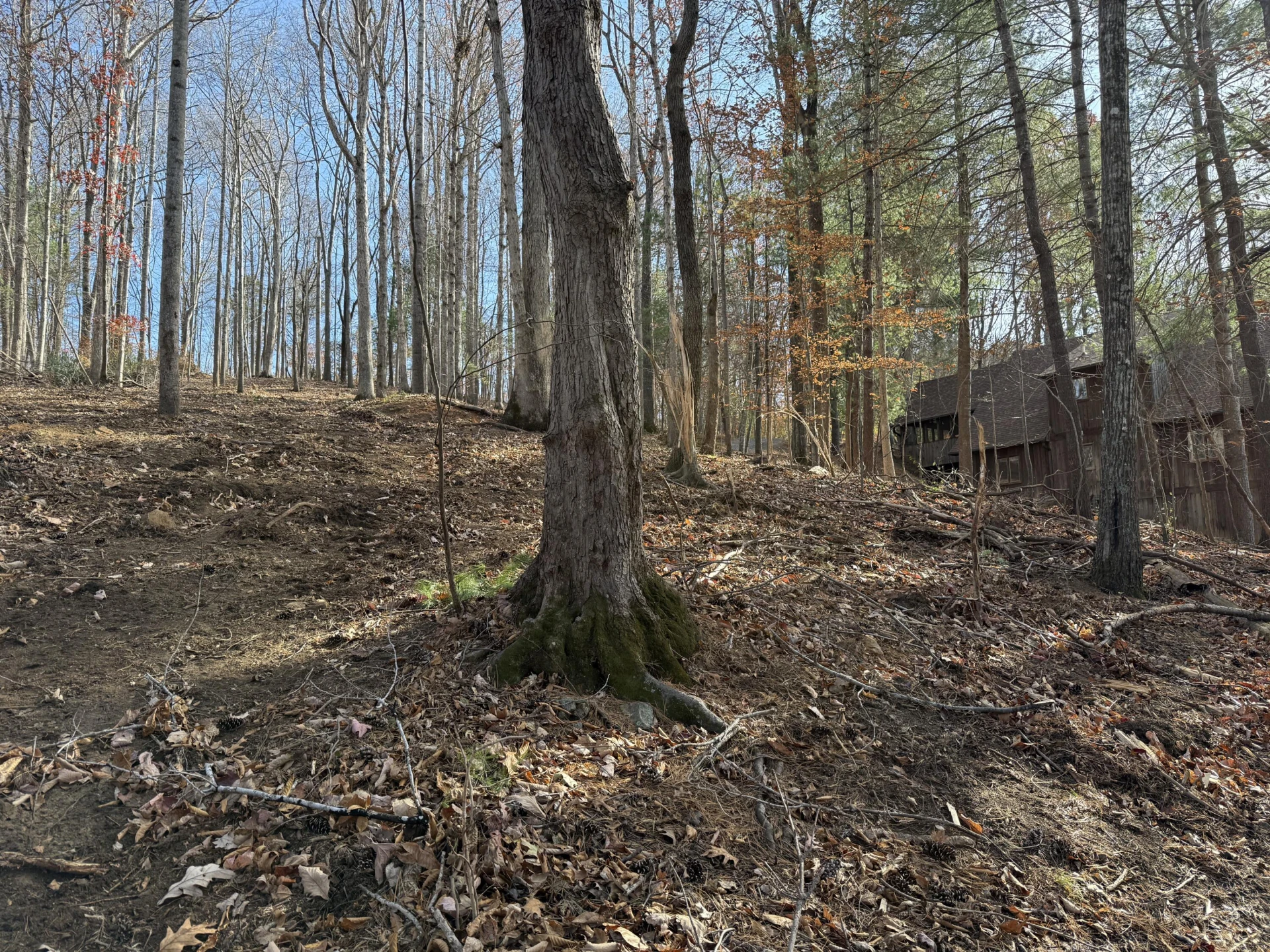 LOT 9 TIKI TERRACE - Photo 24