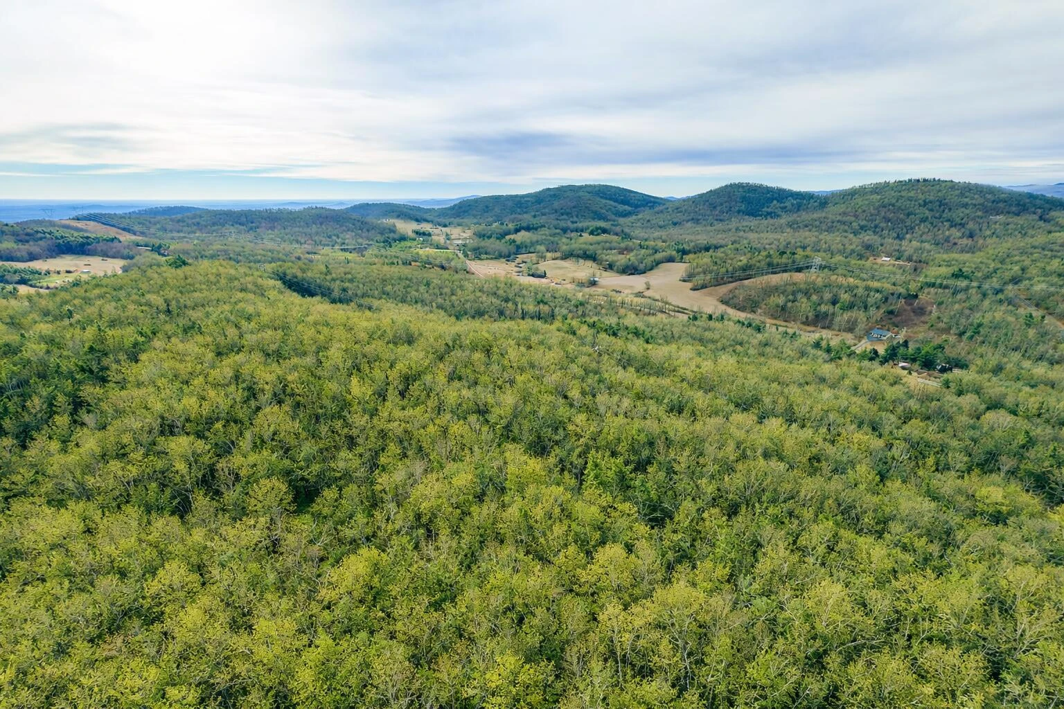 0 Thomas Farm RD - Photo 5