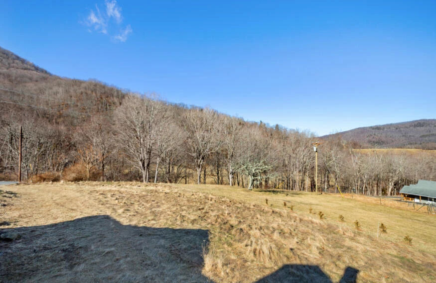 3110 Jamison Mountain RD - Photo 59