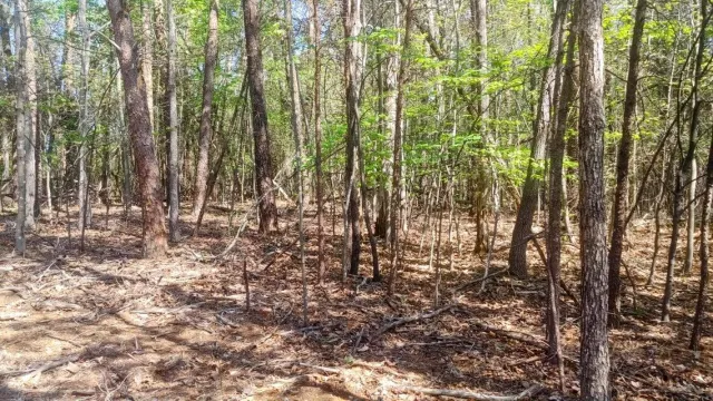 Lot 130 Harbor Landing DR, Moneta, VA, 24121