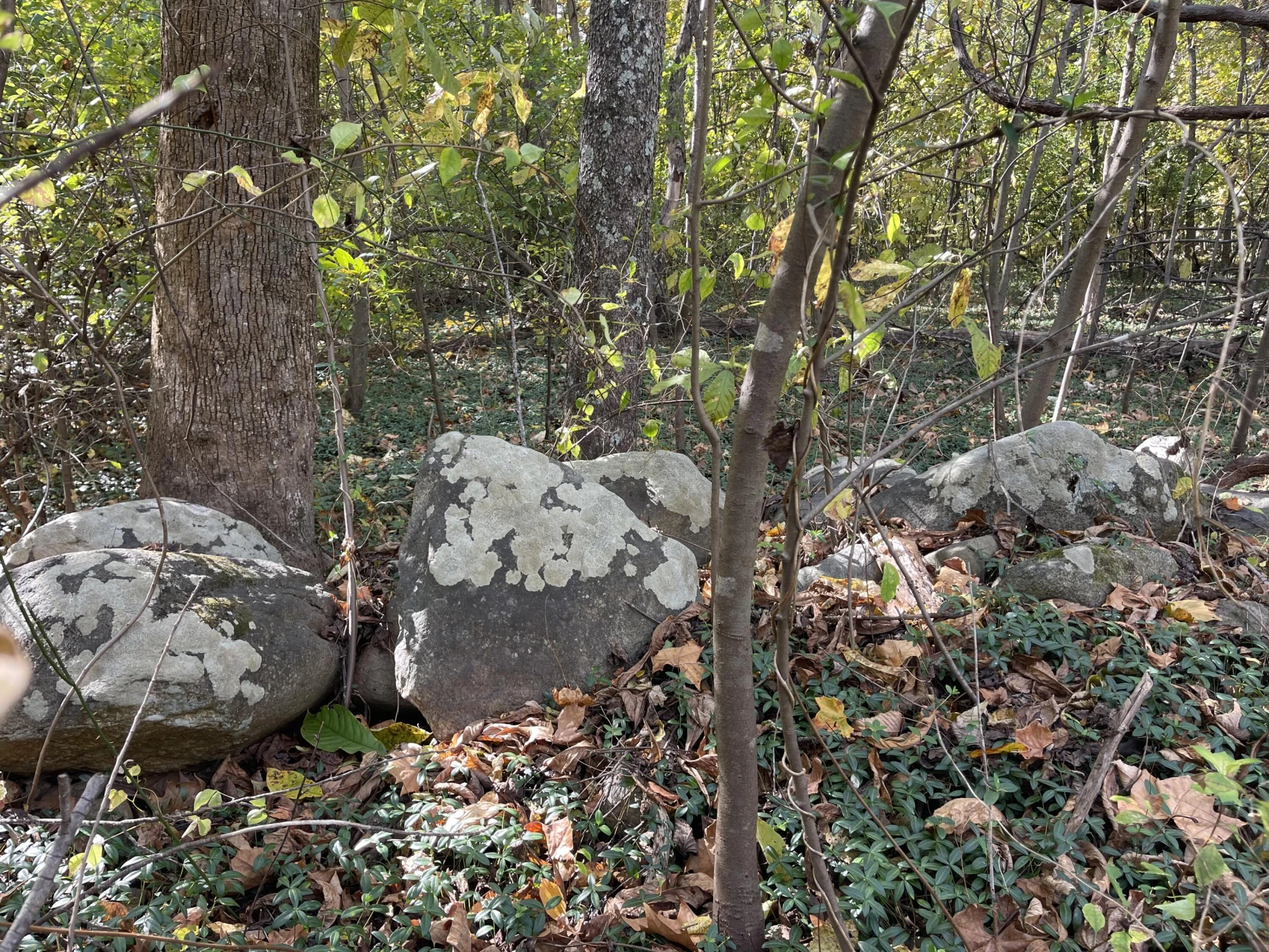 0 Hunting Creek RD - Photo 8