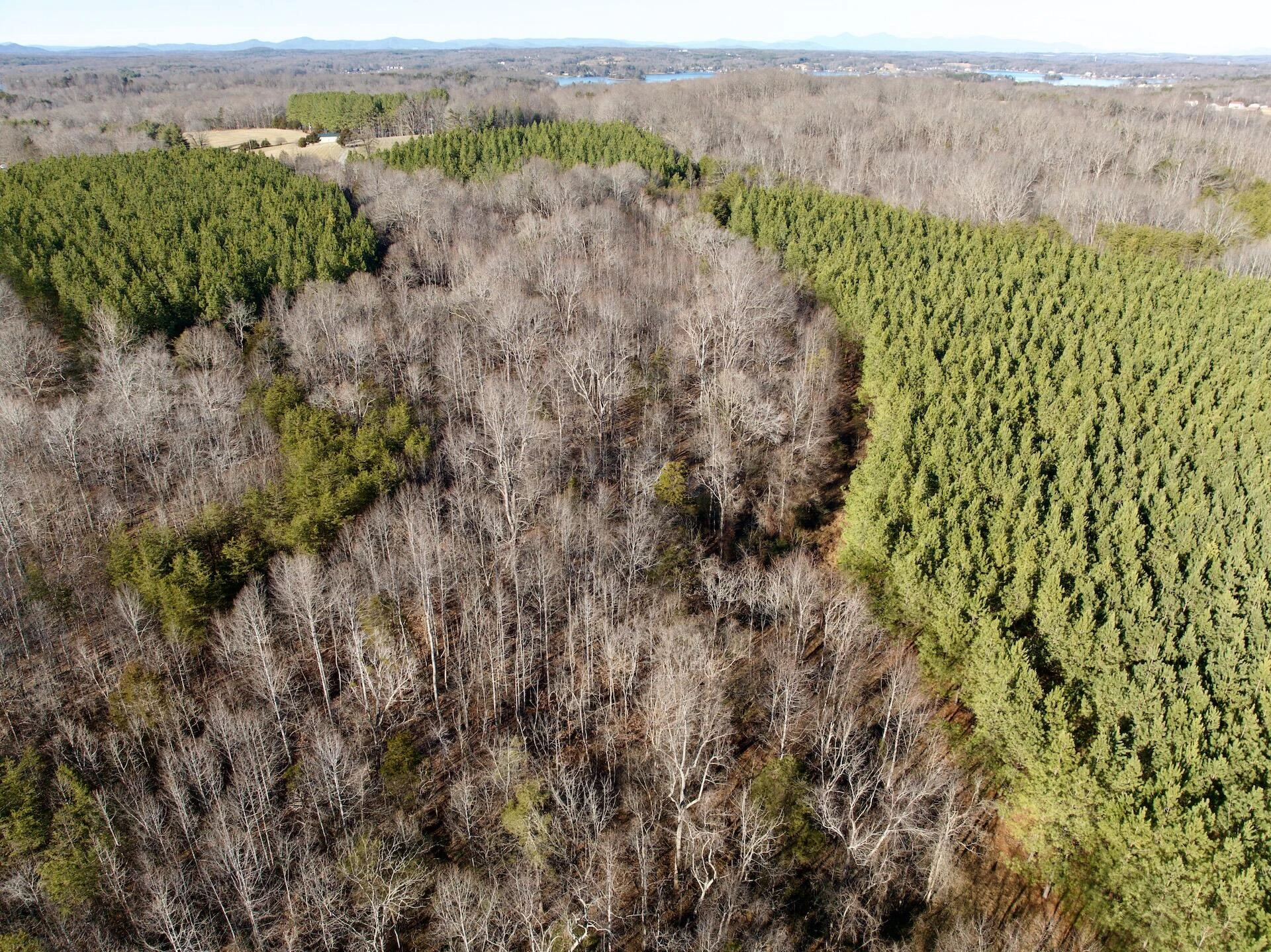 0 Dillards Hill RD