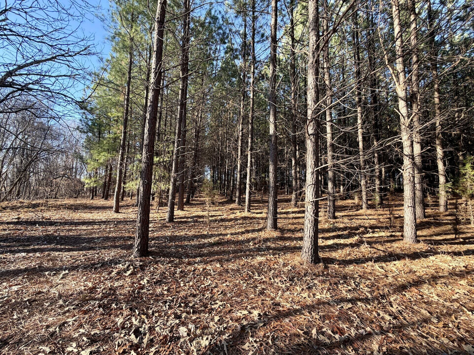 0 Dillards Hill RD - Photo 10