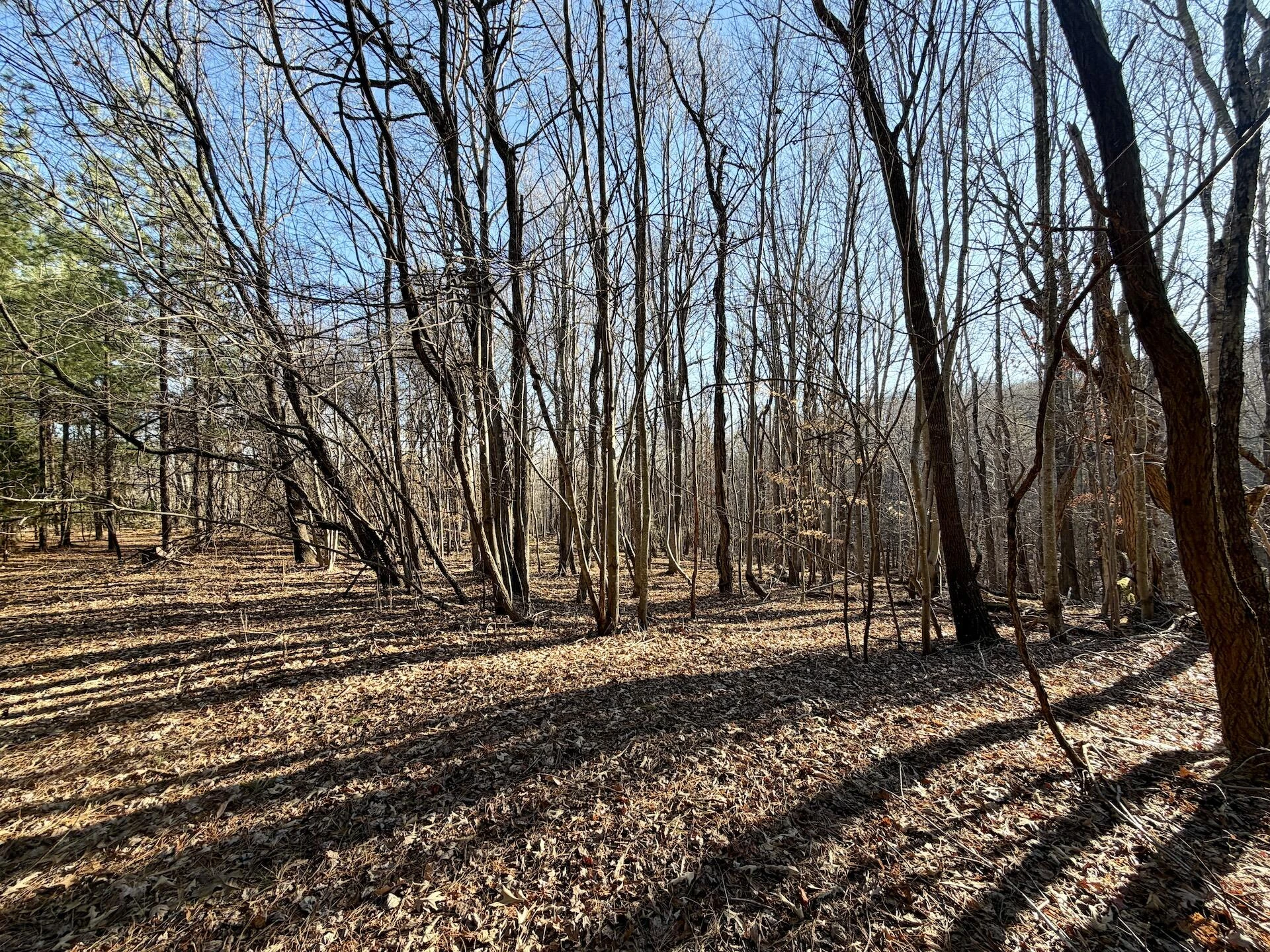 0 Dillards Hill RD - Photo 11