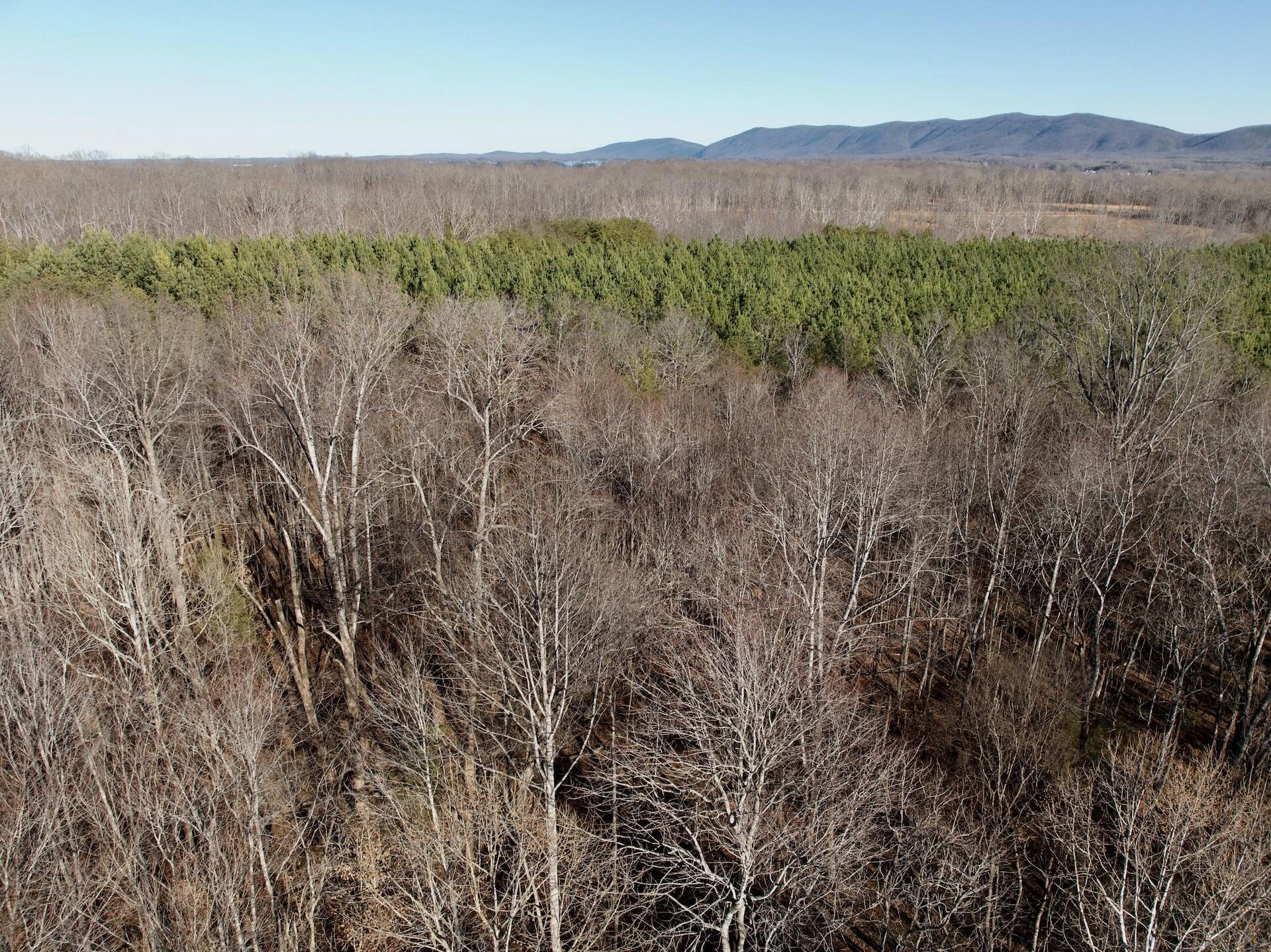 0 Dillards Hill RD - Photo 16