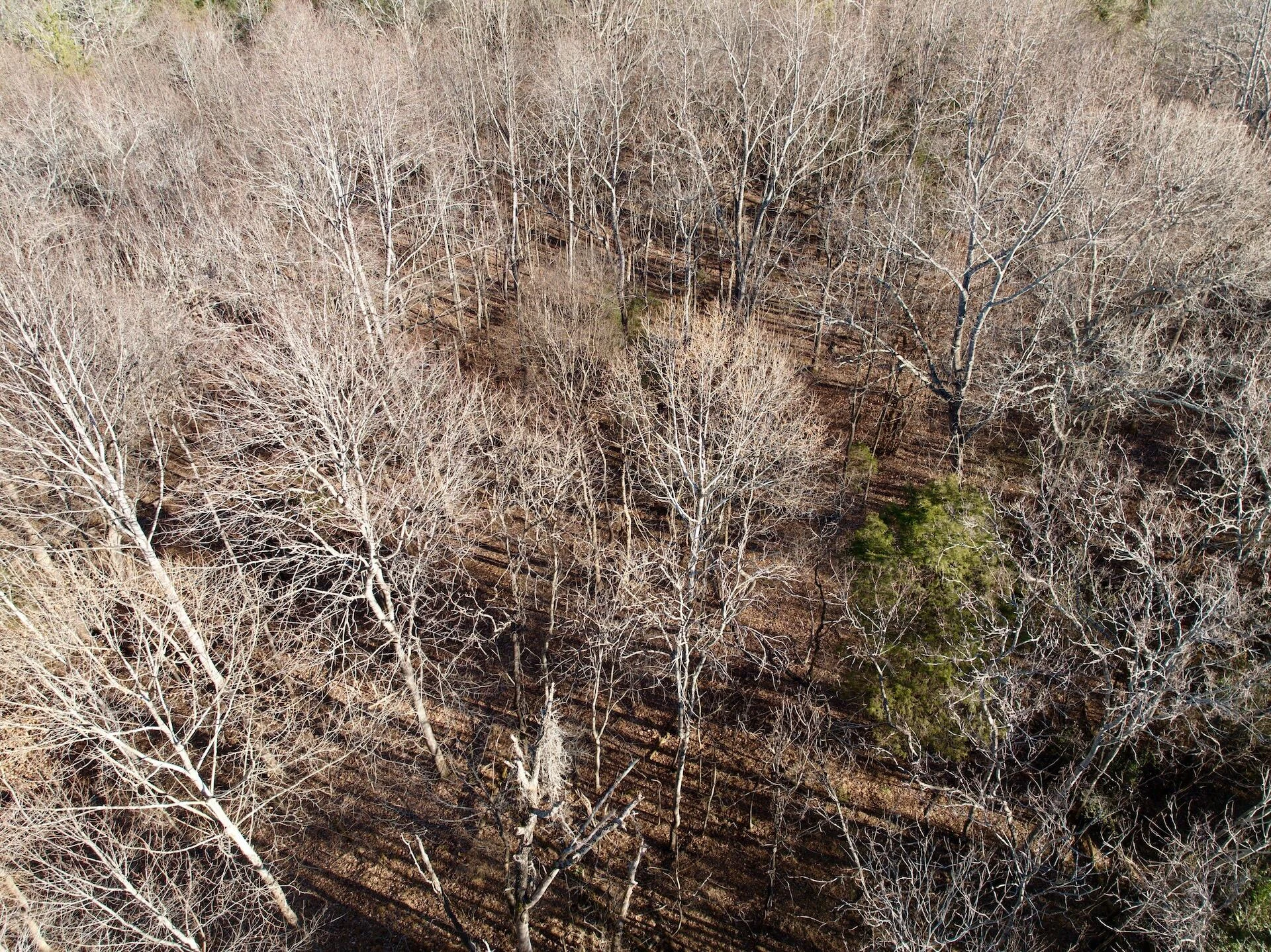 0 Dillards Hill RD - Photo 17