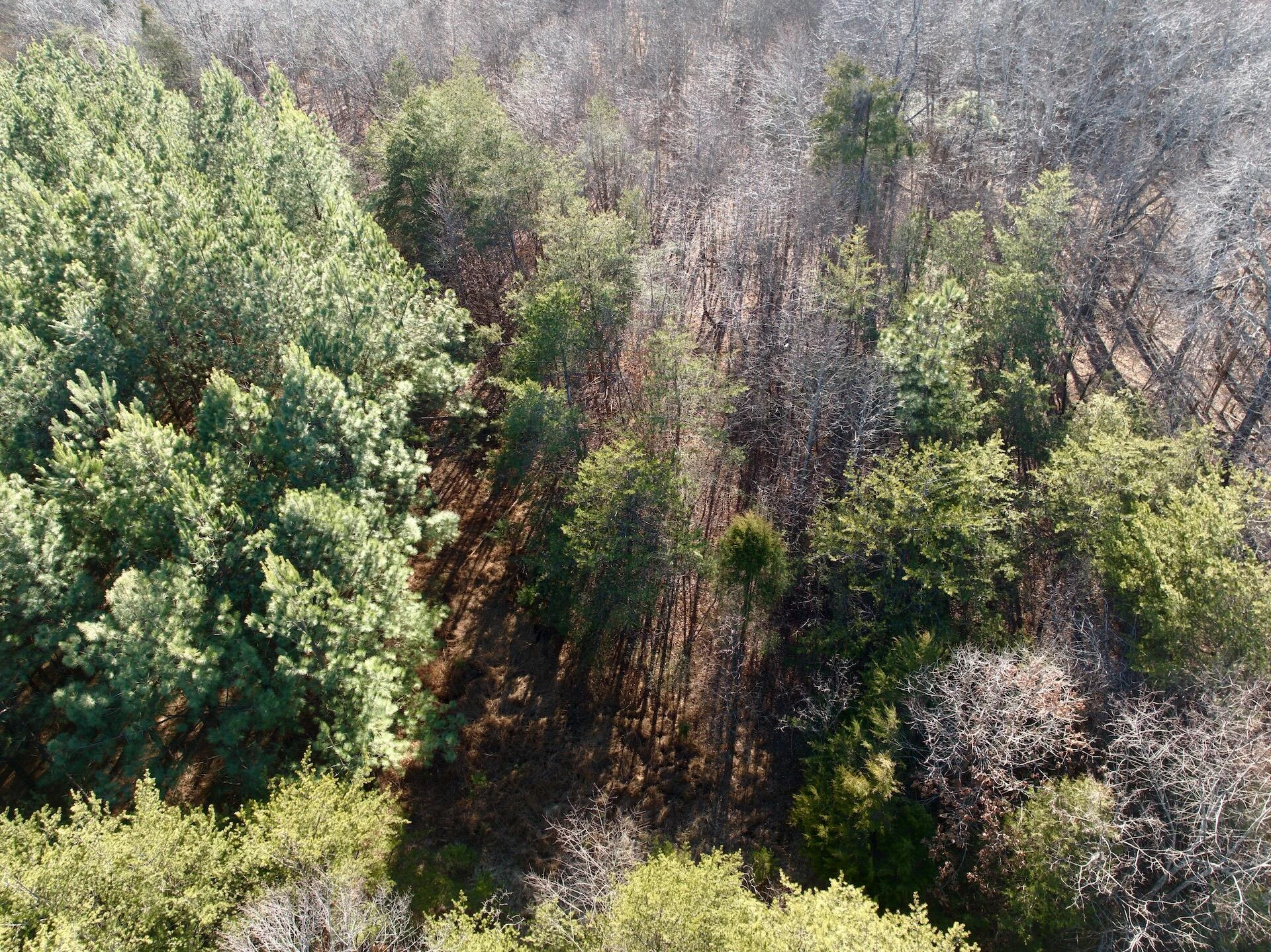 0 Dillards Hill RD - Photo 18