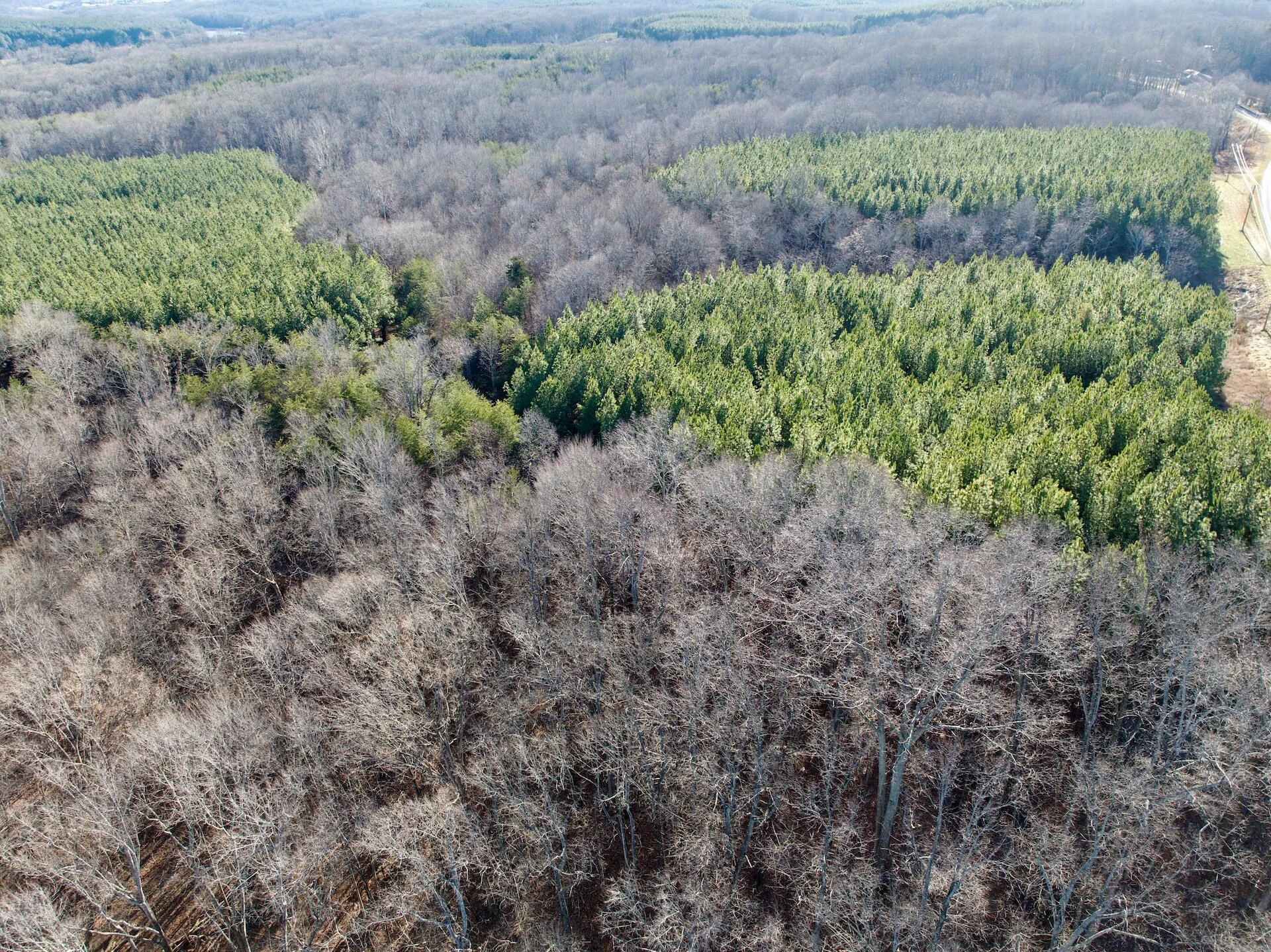 0 Dillards Hill RD - Photo 19