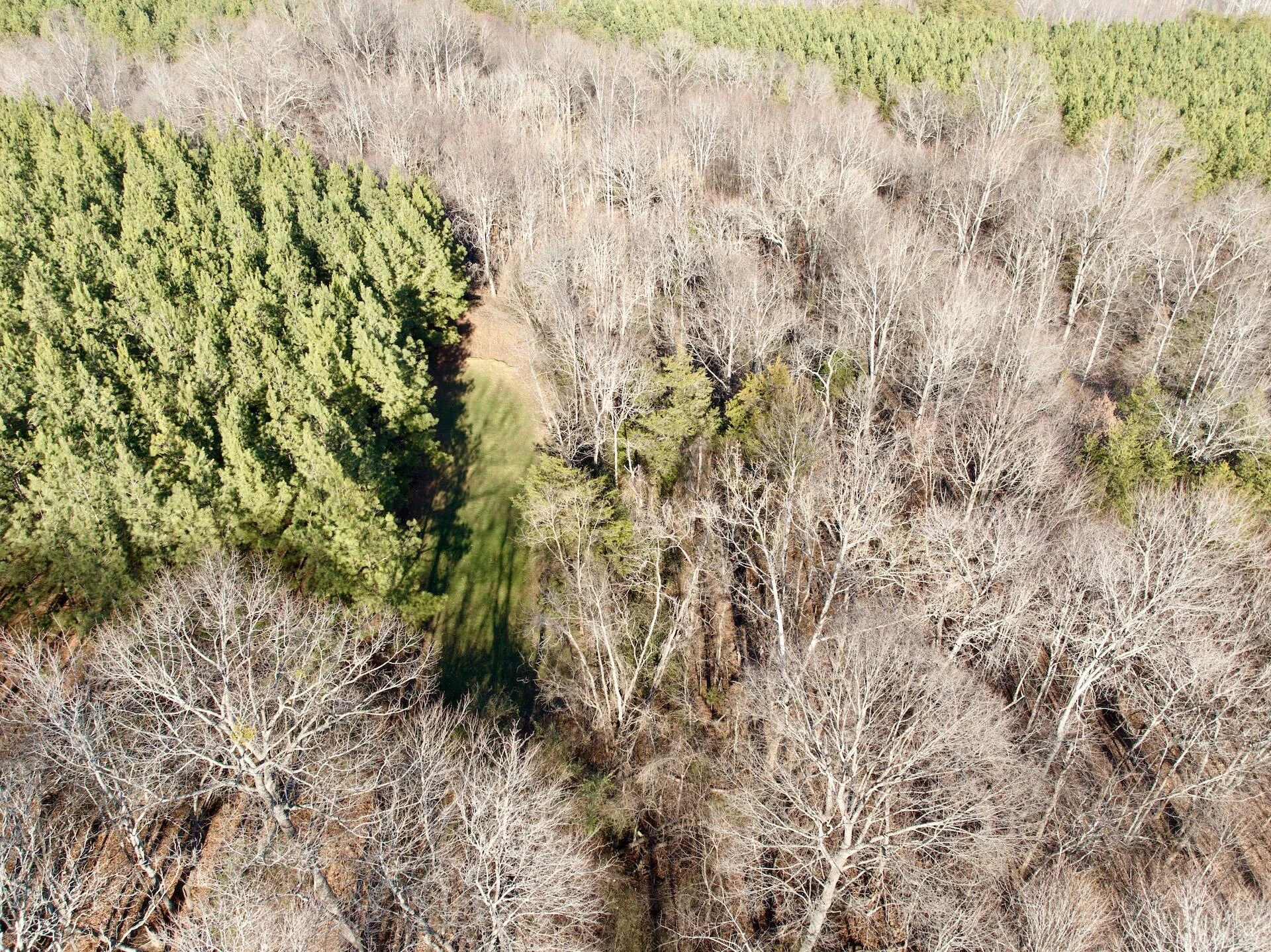 0 Dillards Hill RD - Photo 26