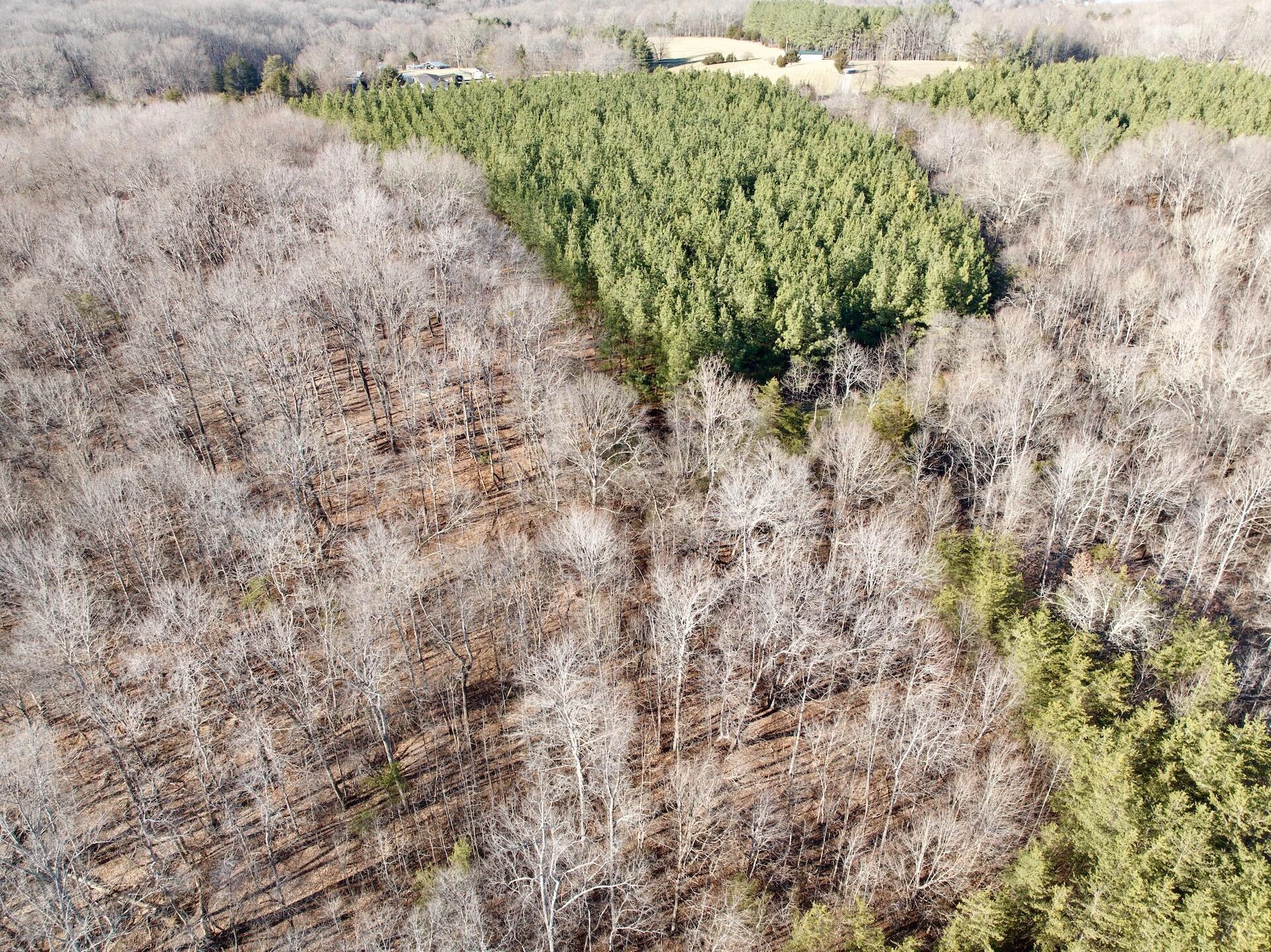 0 Dillards Hill RD - Photo 27