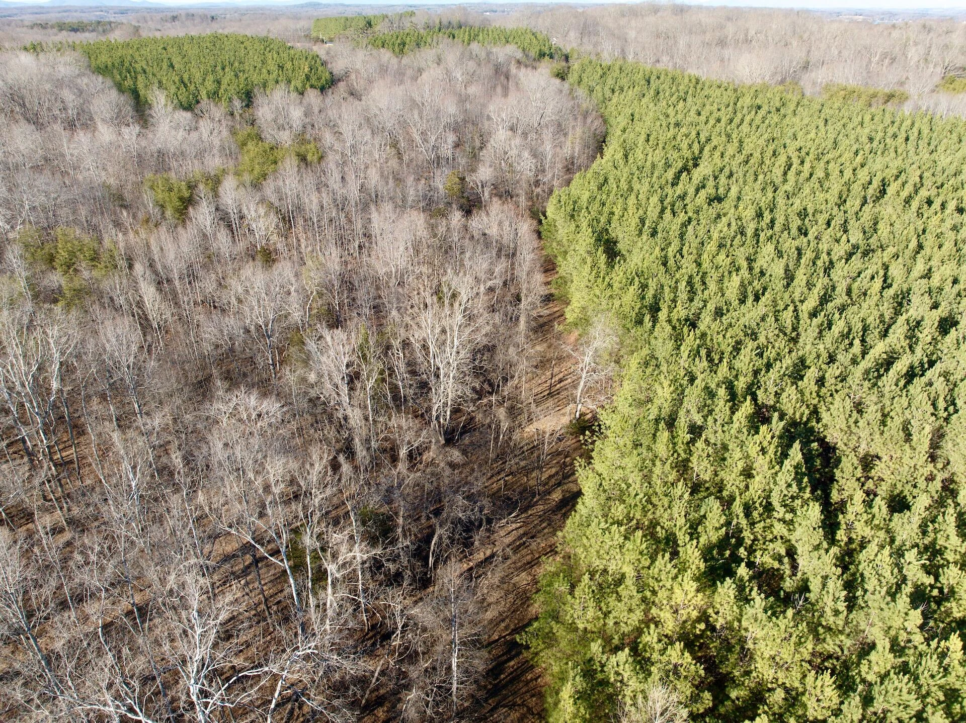 0 Dillards Hill RD - Photo 28