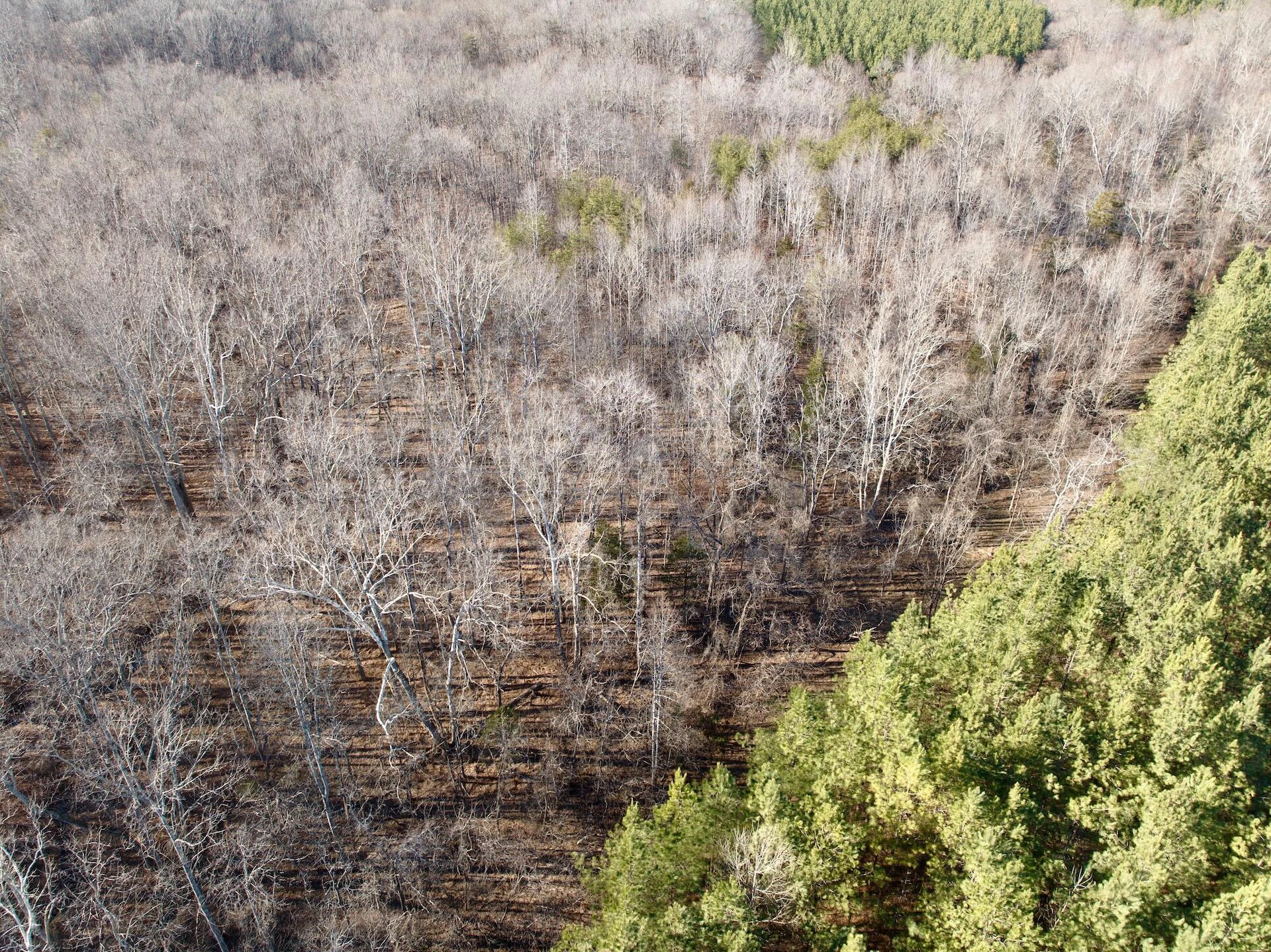 0 Dillards Hill RD - Photo 29